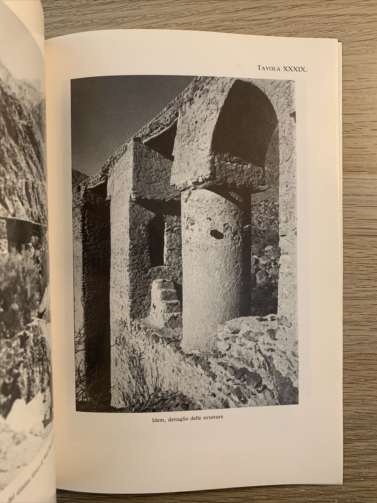 L'UOMO E L'AMBIENTE NELLA PENISOLA ARABA. PAOLO M. COSTA 1991 accademia Lincei