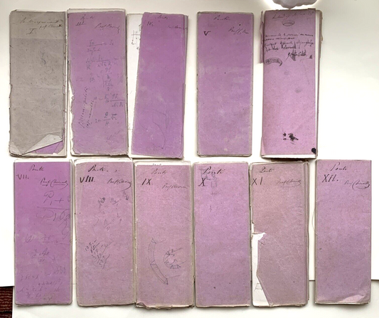 CELESTE CLERICETTI, appunti manoscritti di uno studente UNIVERSITÀ PAVIA 1875 #