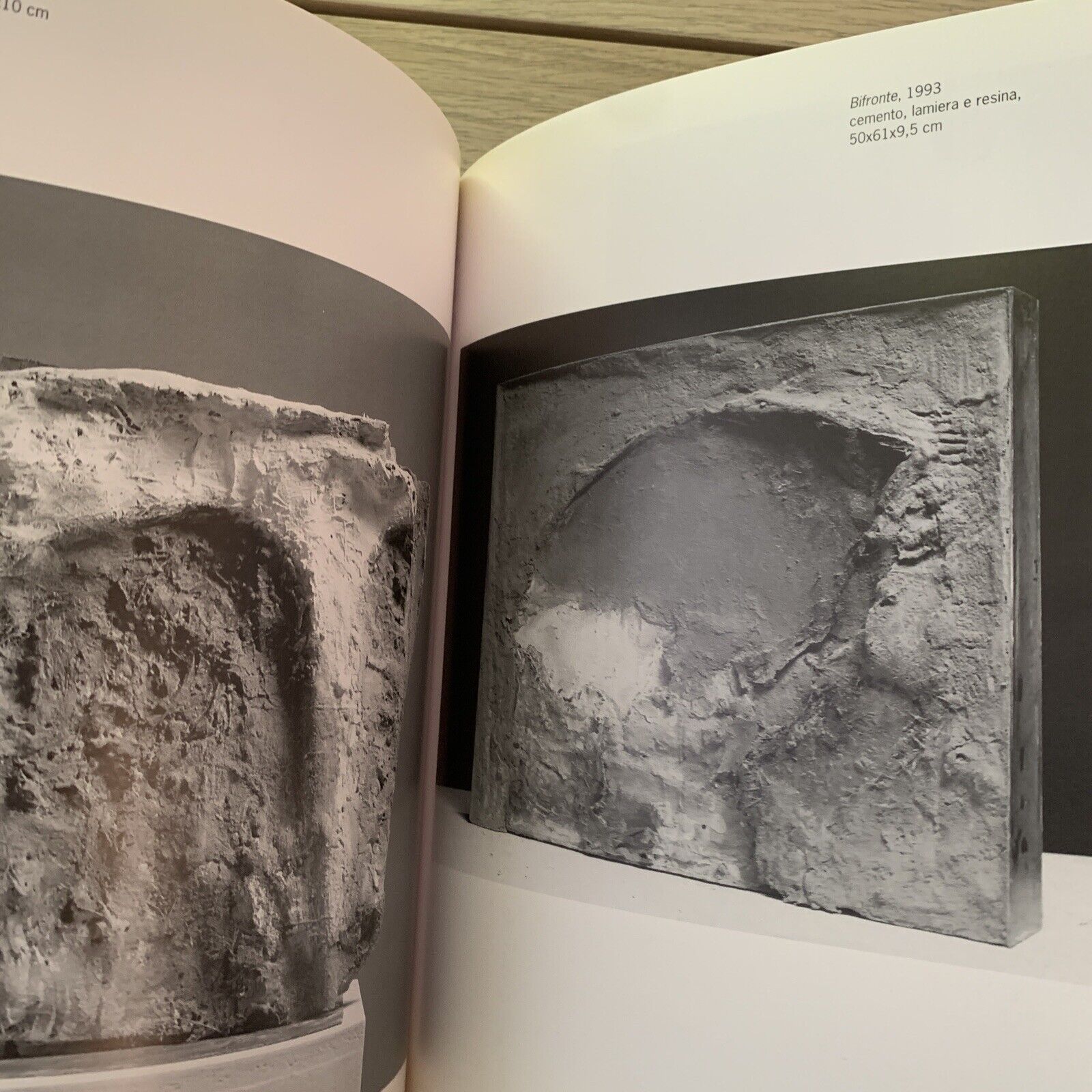 SCULTURA E SEGNO, Crippa, Ghinzani, Ghitti, Legnaghi, Benedetti. Charta 1995