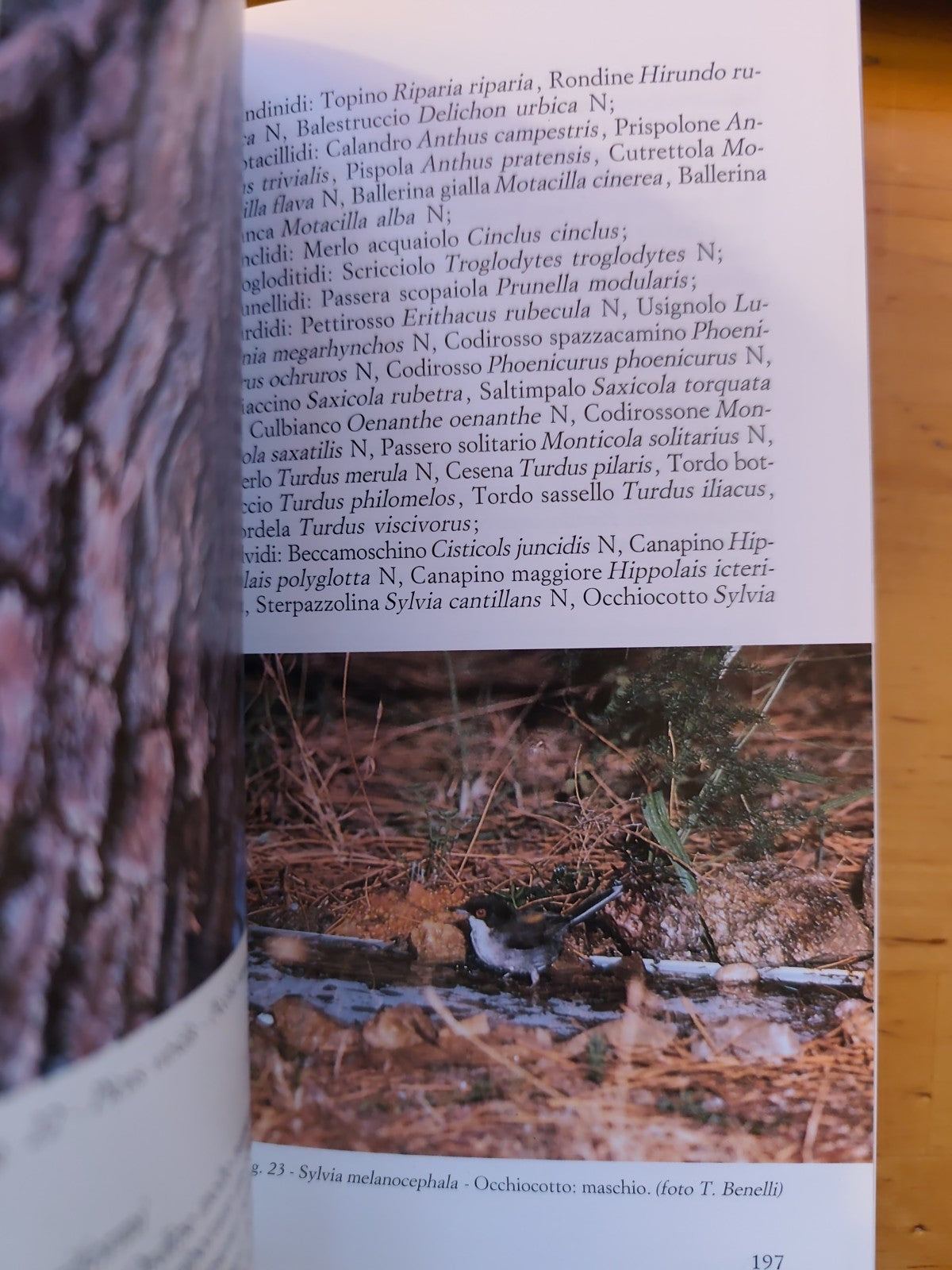 La vena del Gesso Bologna - Regione Emilia Romagna, U. Bagnaresi 1994