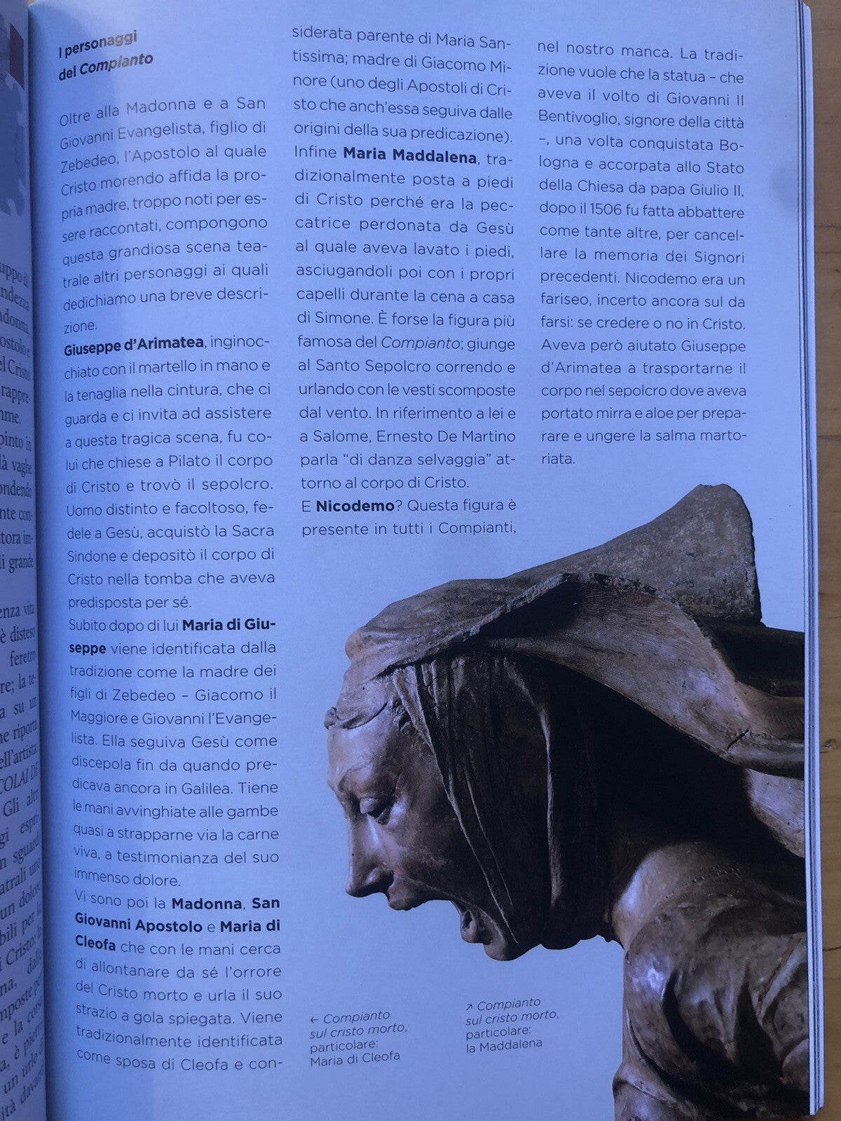 Il complesso monumentale di Santa Maria della vita. Bologna, F. Roversi 2014