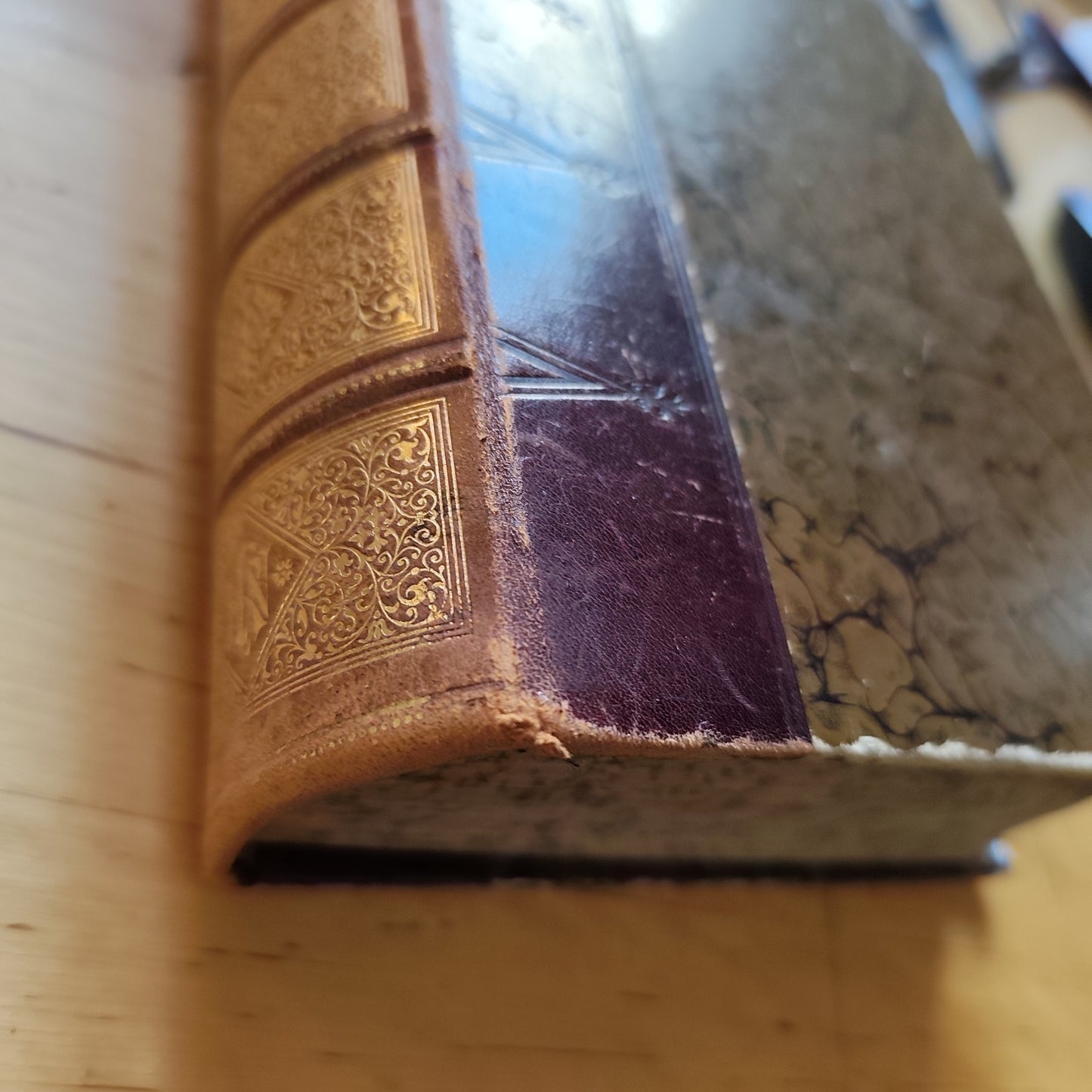 Das Buch vom Gesunden und kranken menschen - Ernst Bock 1889 Antico testo medico