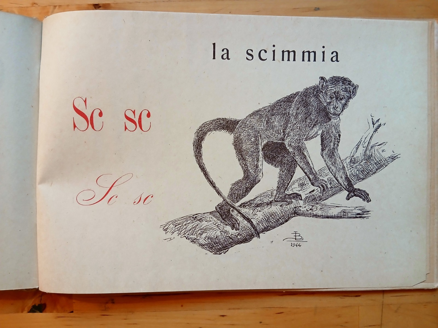 ABC con disegni originali - L. Bruckmann, Cionini ed. 1944 illustrato bambini