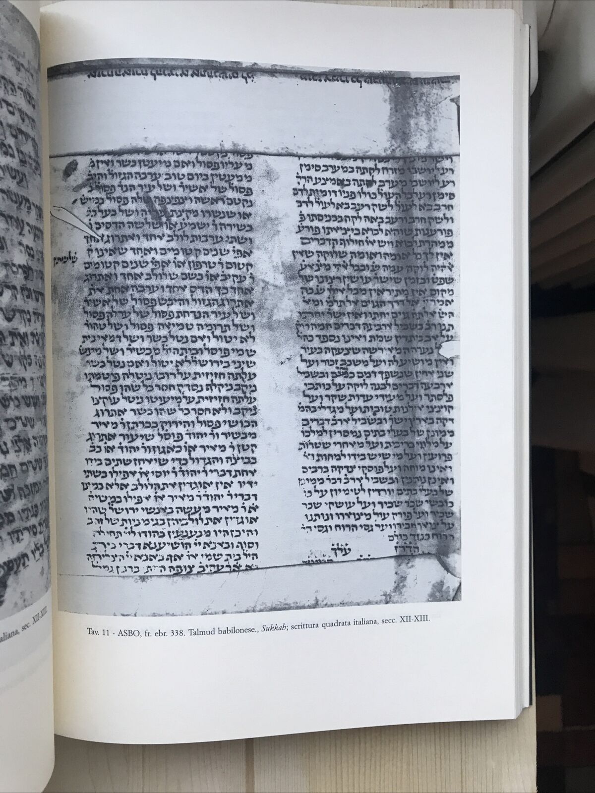 I FRAMMENTI EBRAICI DI BOLOGNA, archivio di stato e collezioni minori, Olschki