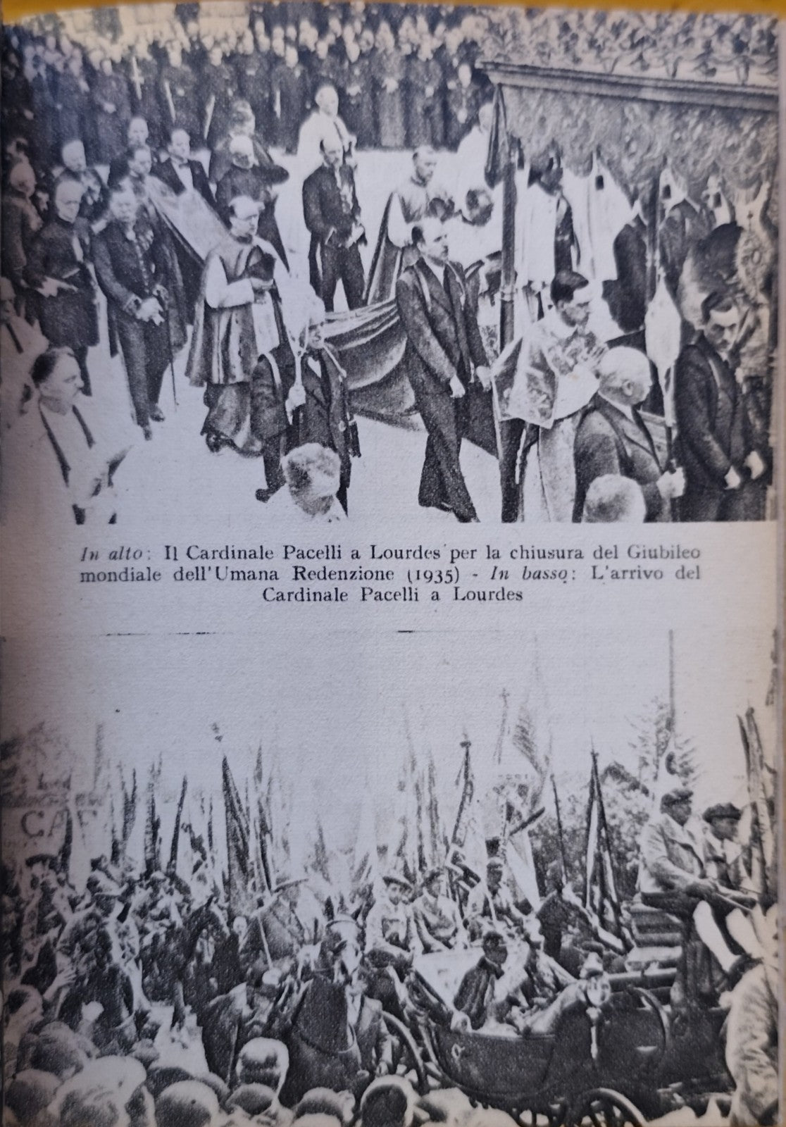 Pio XII Lamberto de Camillis, Libreria editrice Coletti 1942