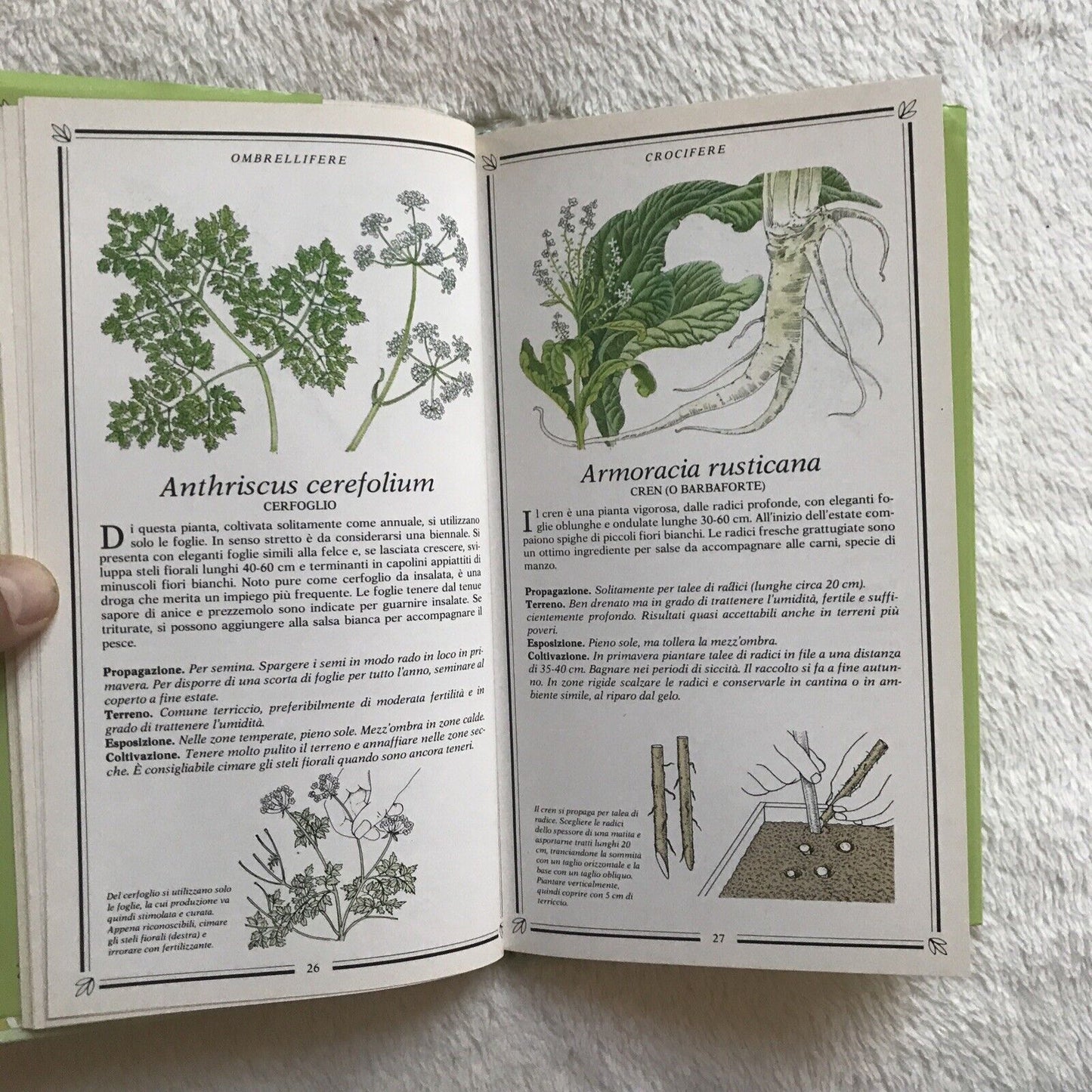 ERBE, Kenneth A. Beckett, Sperling & Kupfer Editori