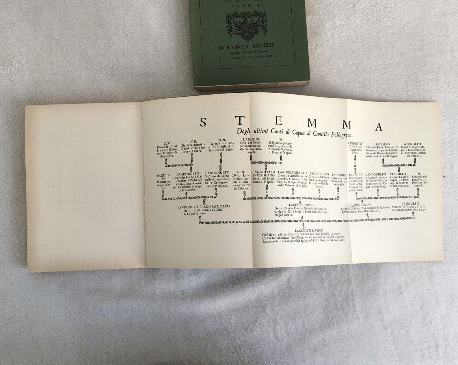 MEMORIE ISTORICHE DELLA CITTÀ DI CAPUA, Ottavio Rinaldo, Arnaldo Forni - 2 TOMI