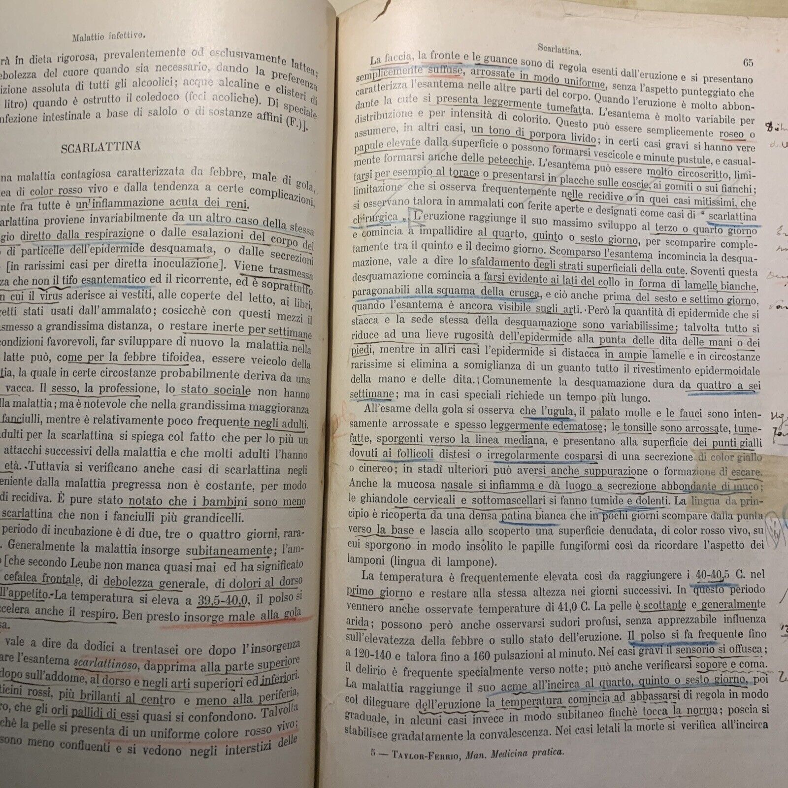 MANUALE PRATICO MEDICINA INTERNA - FEDERICO TAYLOR. UTET 1911. 2 VOLUMI #