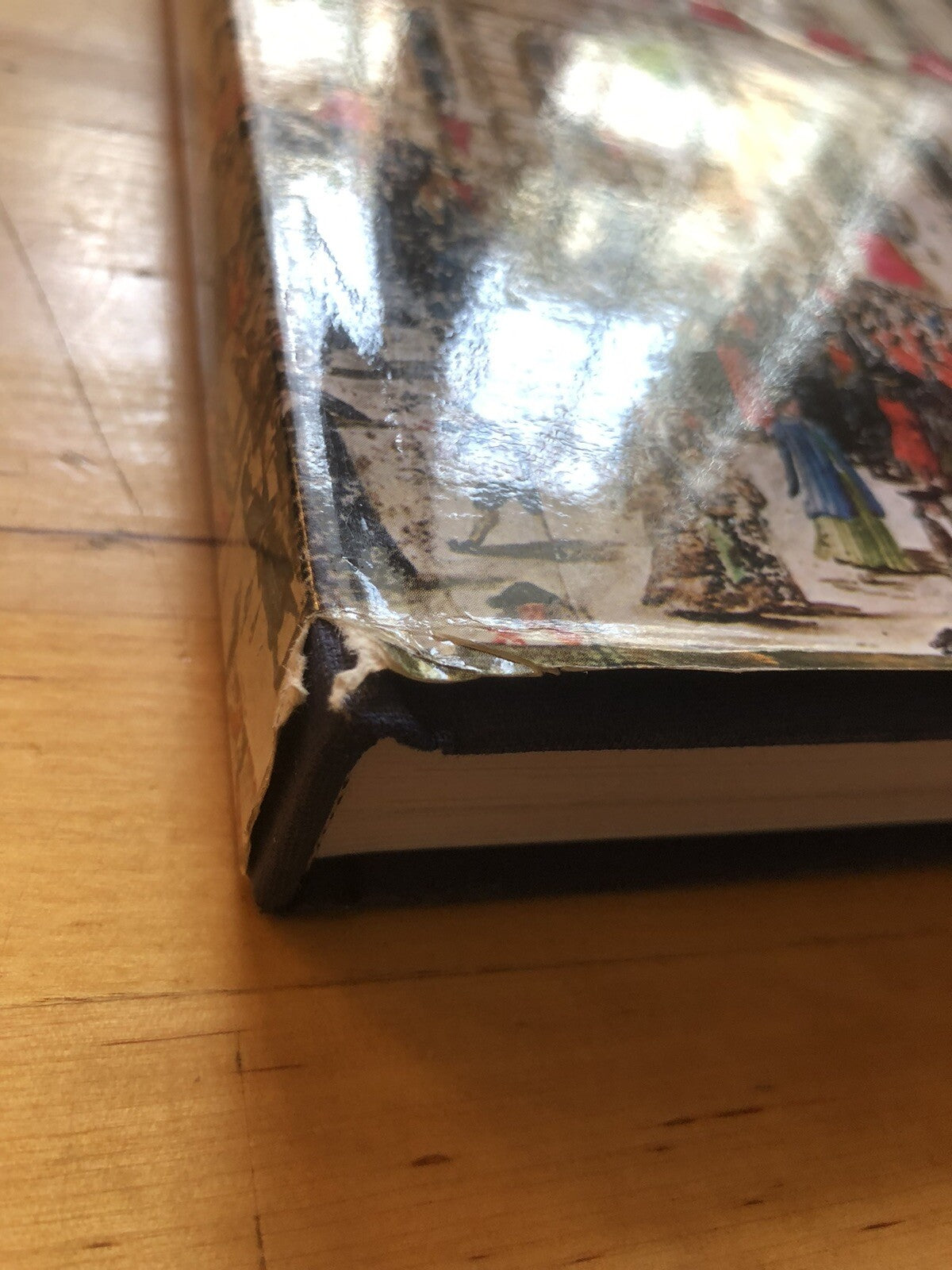 I palazzi senatorii a Bologna Architettura come immagine del potere - G. Cuppini