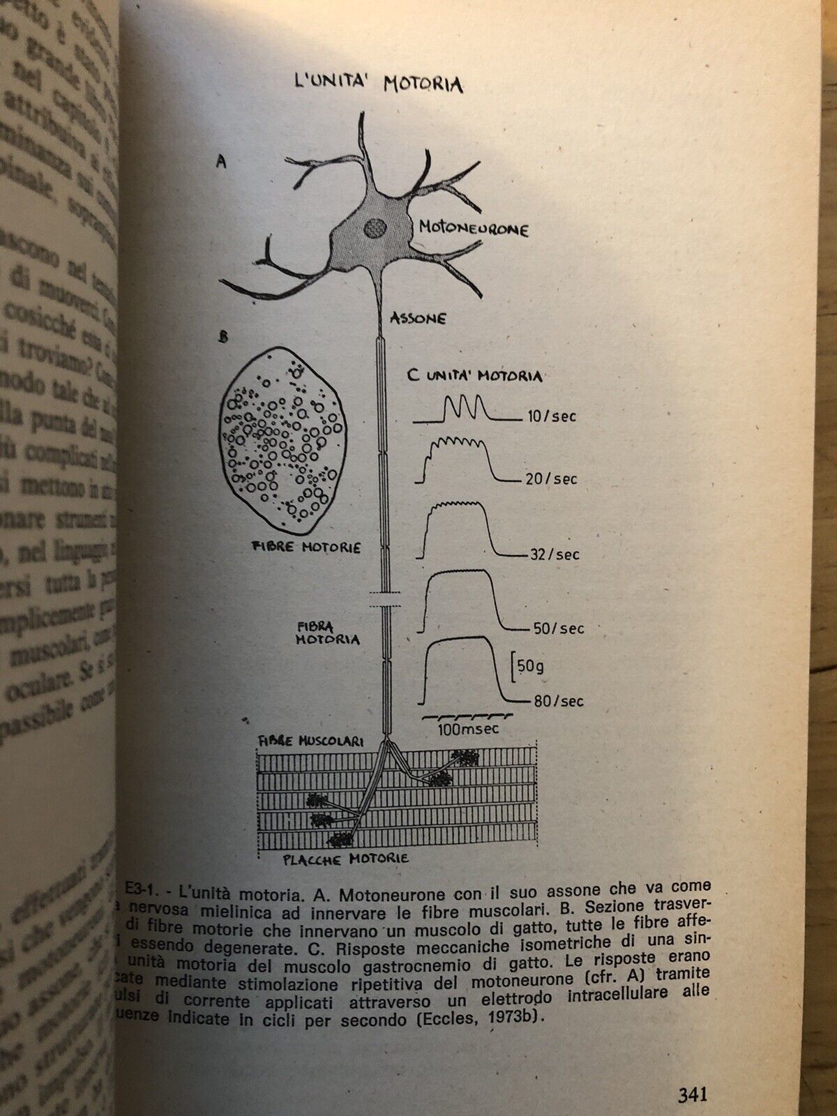 L'io e il suo cervello, K.R. Popper, J.C. Eccles - Armando ed. 1981 - 3 voll.