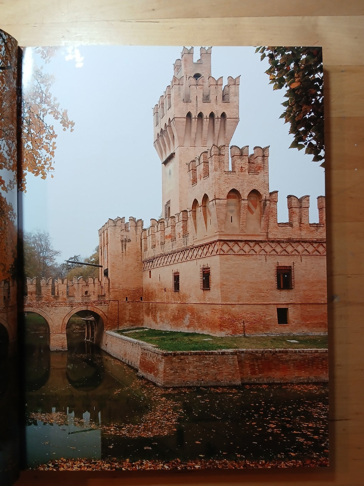Il castello di San Martino in  Soverzano 2 voll., M. Fanti Bononia University