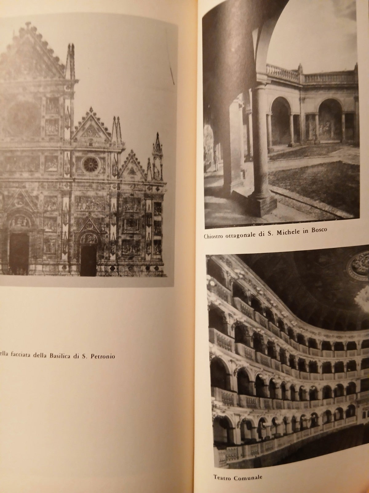 Architetture bolognesi - Angelo Raule - Guidicini e Rosa ed. 1976