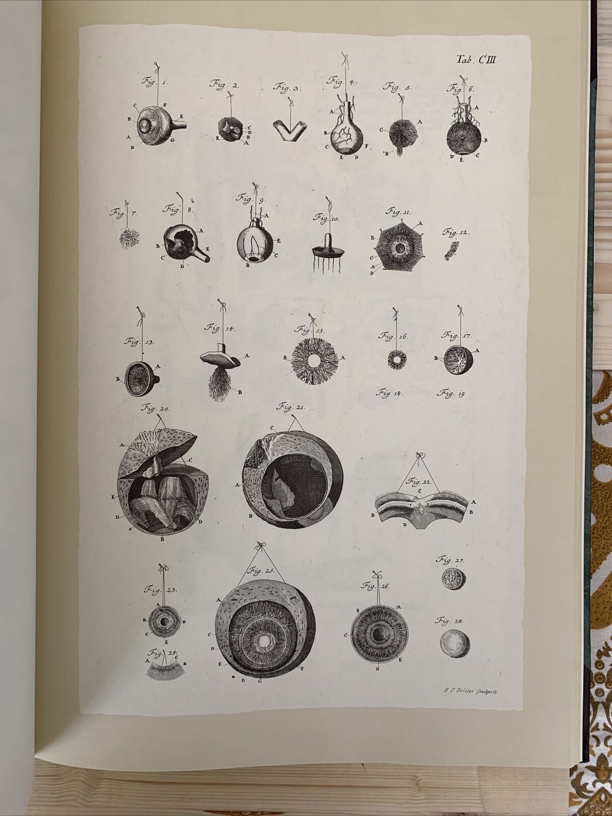 Icones ophthalmologicae - Francesco Loperfido - Casa editrice Mattioli 1992 #