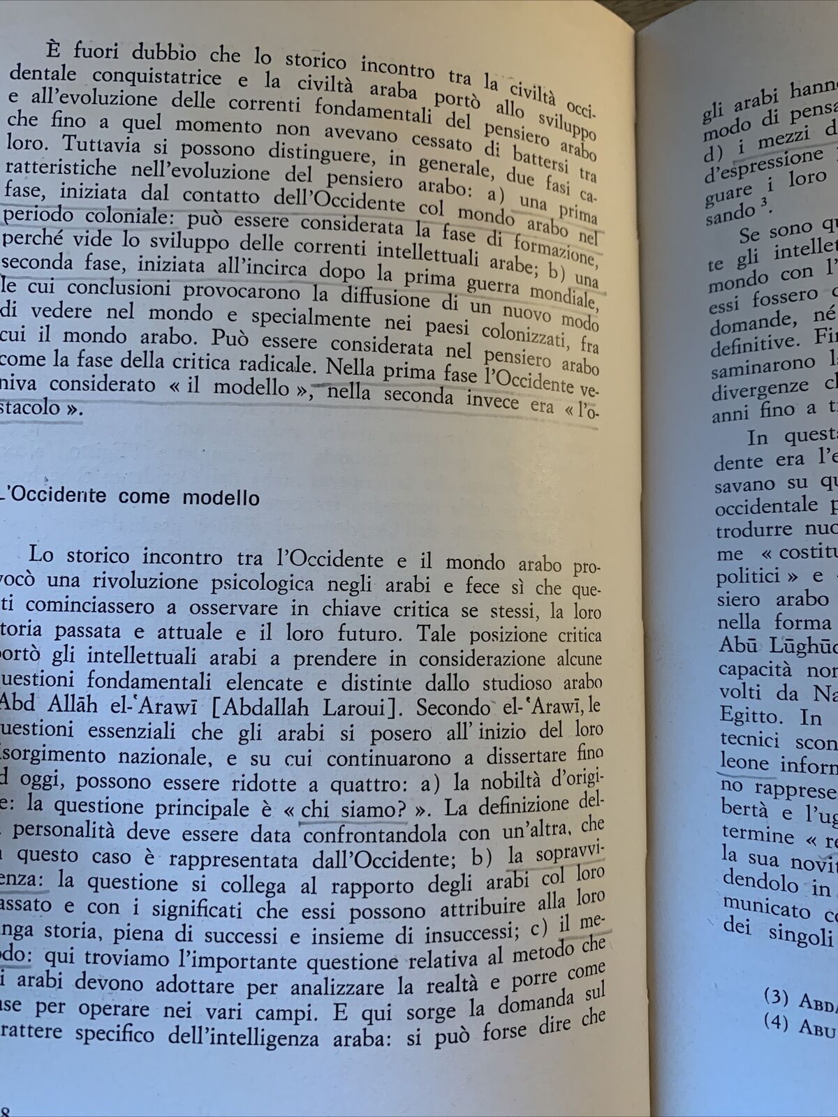 LA COSCIENZA DELL'ALTRO - Liliana Magrini. Ipalmo
