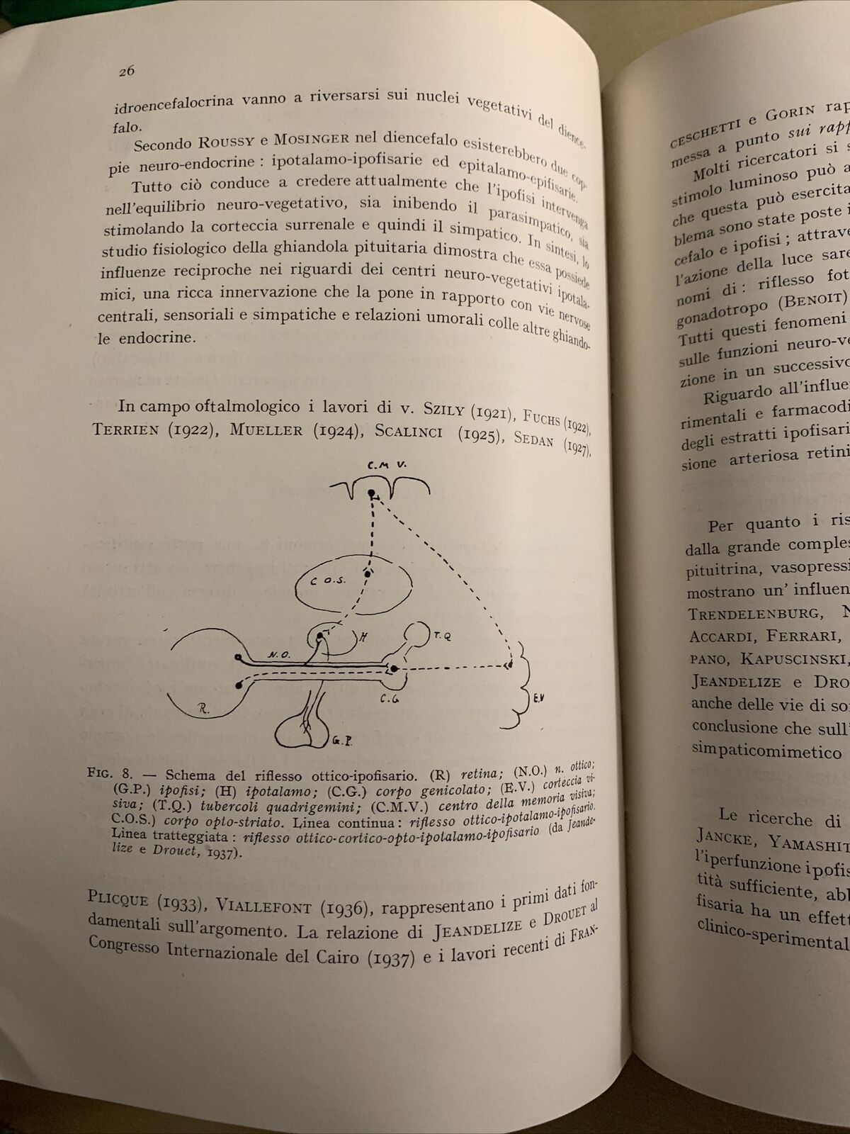 IL SISTEMA NERVOSO AUTONOMO NELLA FISIOPATOLOGIA OCULARE - MATTEUCCI. Rosenberg#