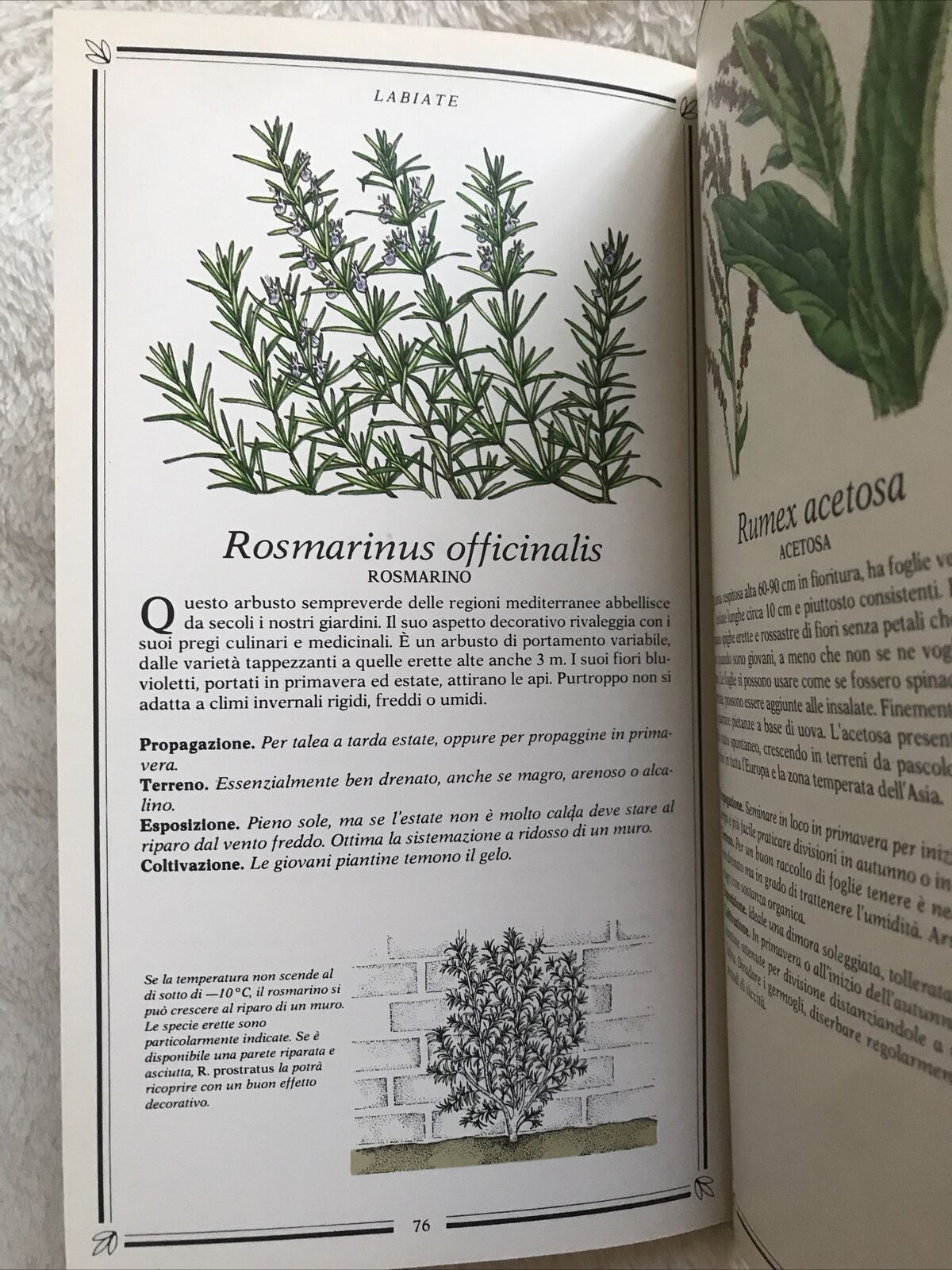 ERBE, Kenneth A. Beckett, Sperling & Kupfer Editori