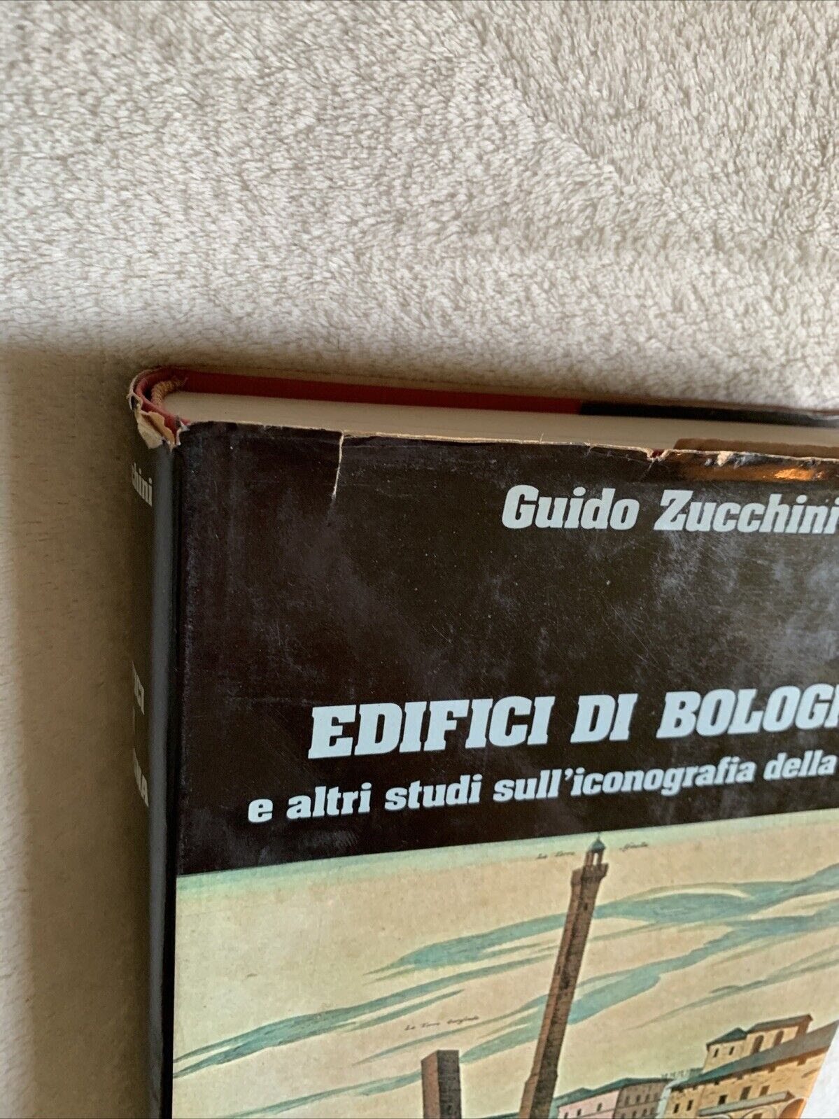 Edifici di Bologna e altri studi sull'iconografia della città. Guido Zucchini