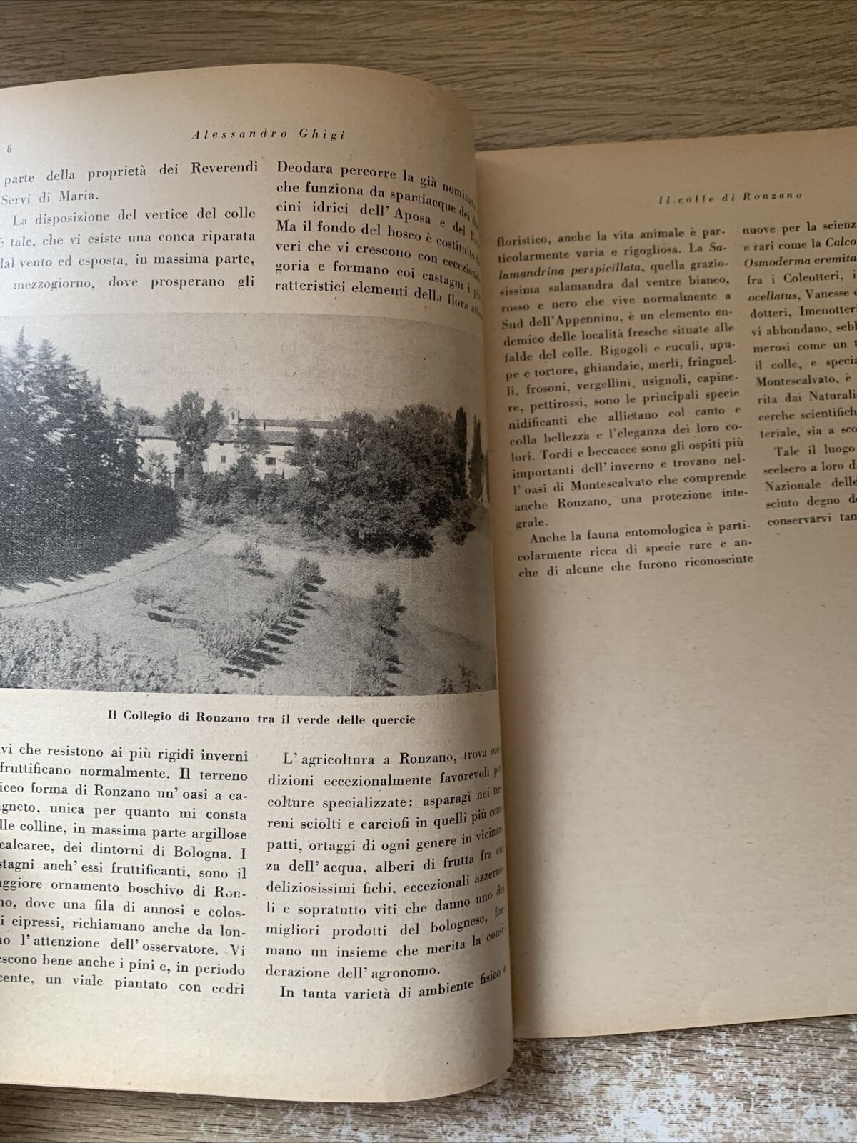 RONZANO notizie storiche artistiche e religiose 1947