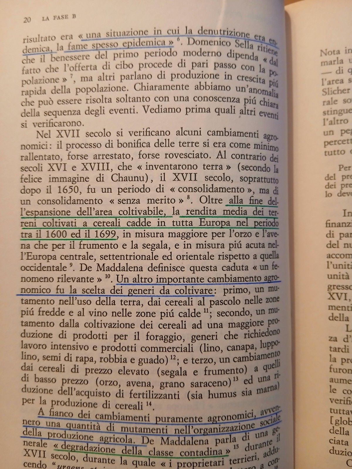 Il sistema mondiale dell'economia moderna - Immanuel Wallerstein Il Mulino v. II