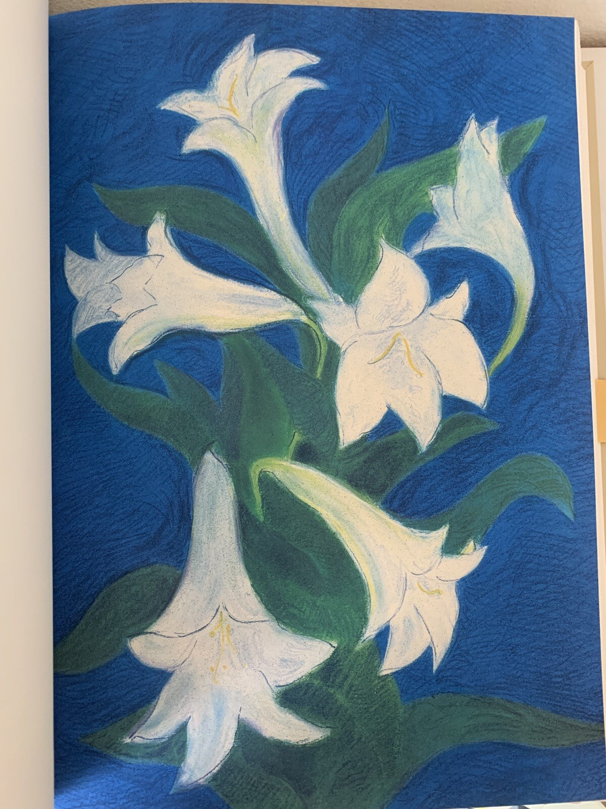 Cantico dei cantici, EDIZIONE PREGIATA Pierre Boncompain. Art'e', G. Ravasi 2002