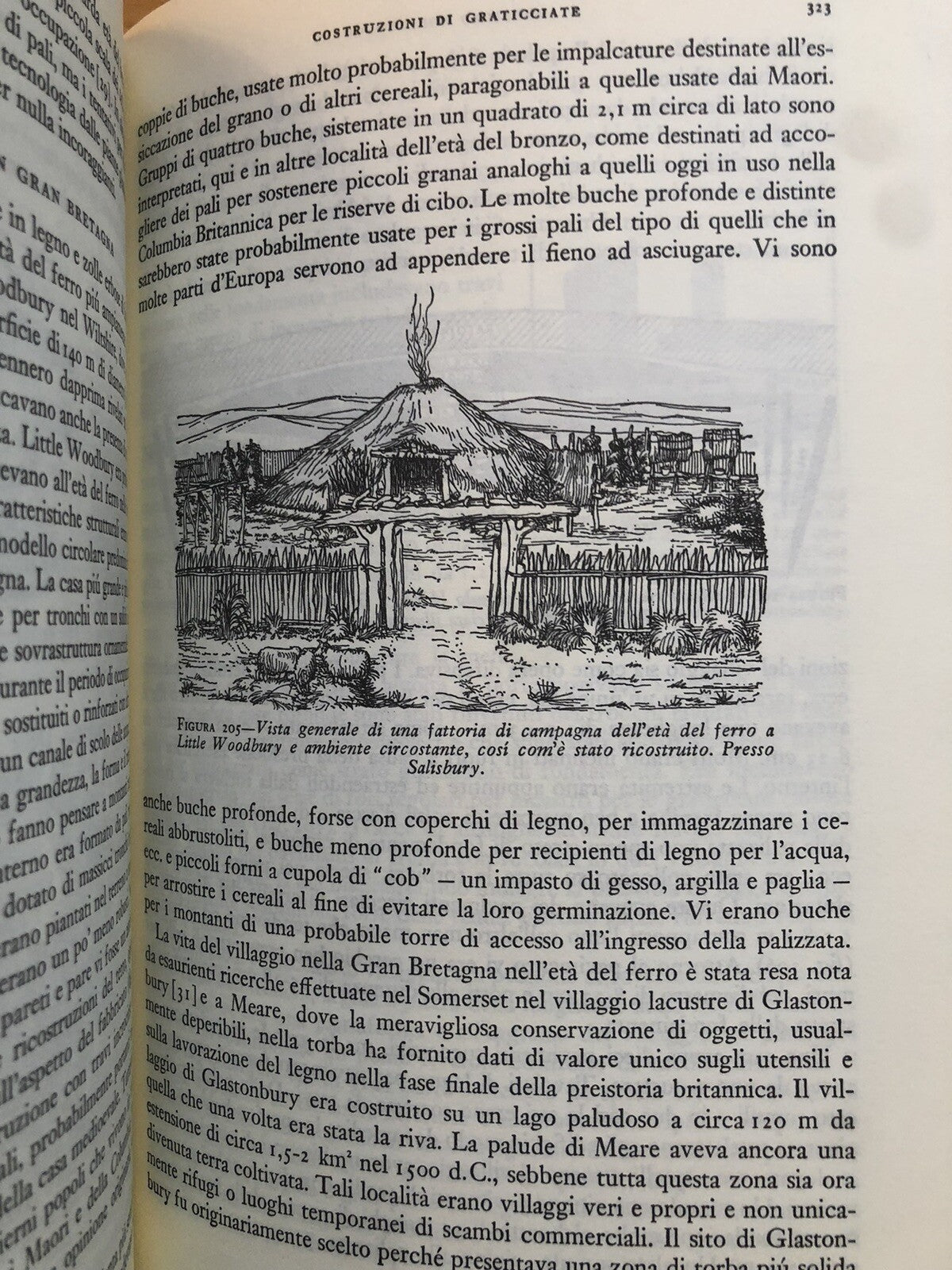 La preistoria e gli antichi imperi, Singer, Holmyard, Bollati Boringhieri 2 voll