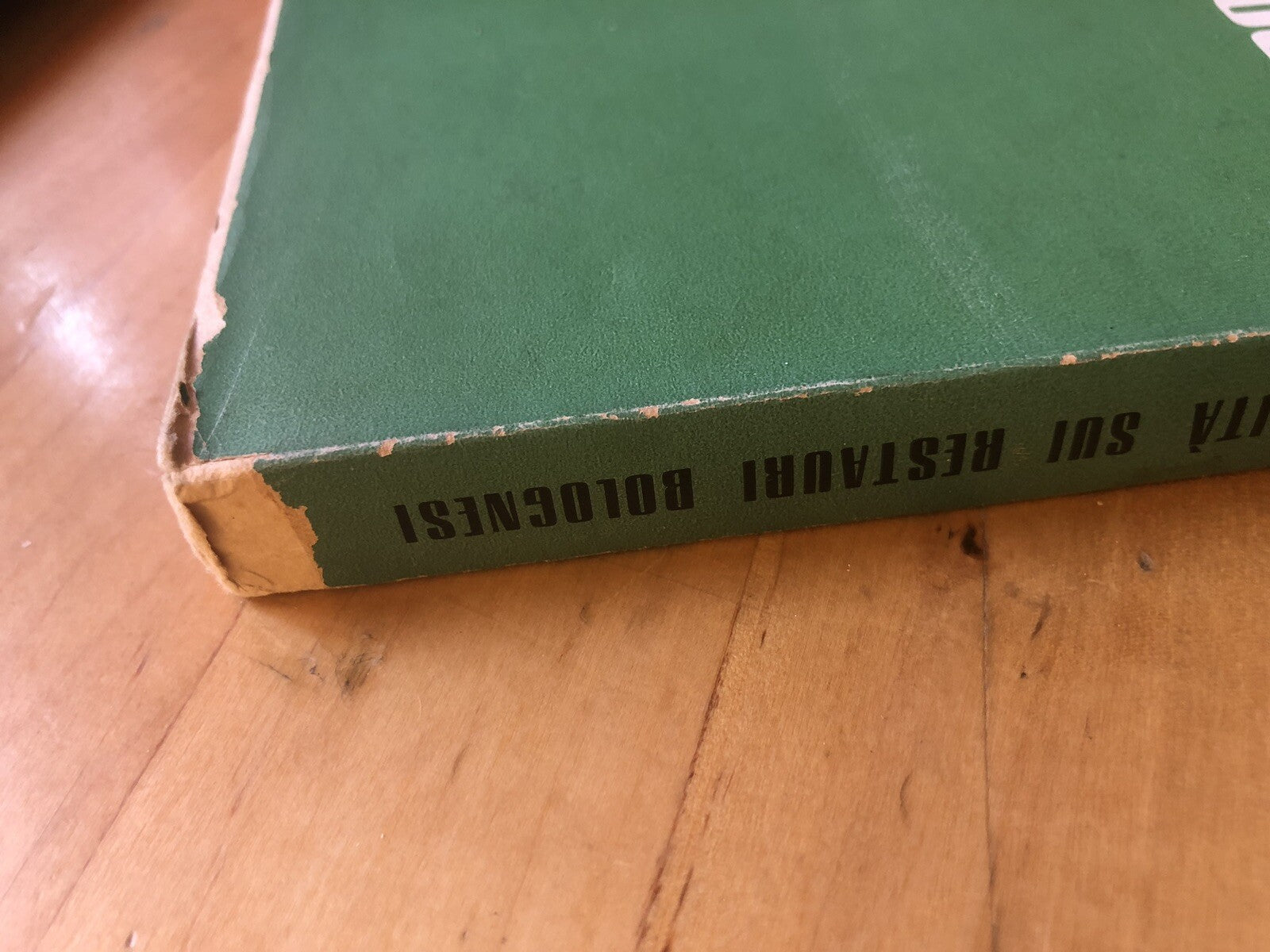 La verità sui restauri bolognesi - Guido Zucchini, 1959 Luigi Parma tipografia