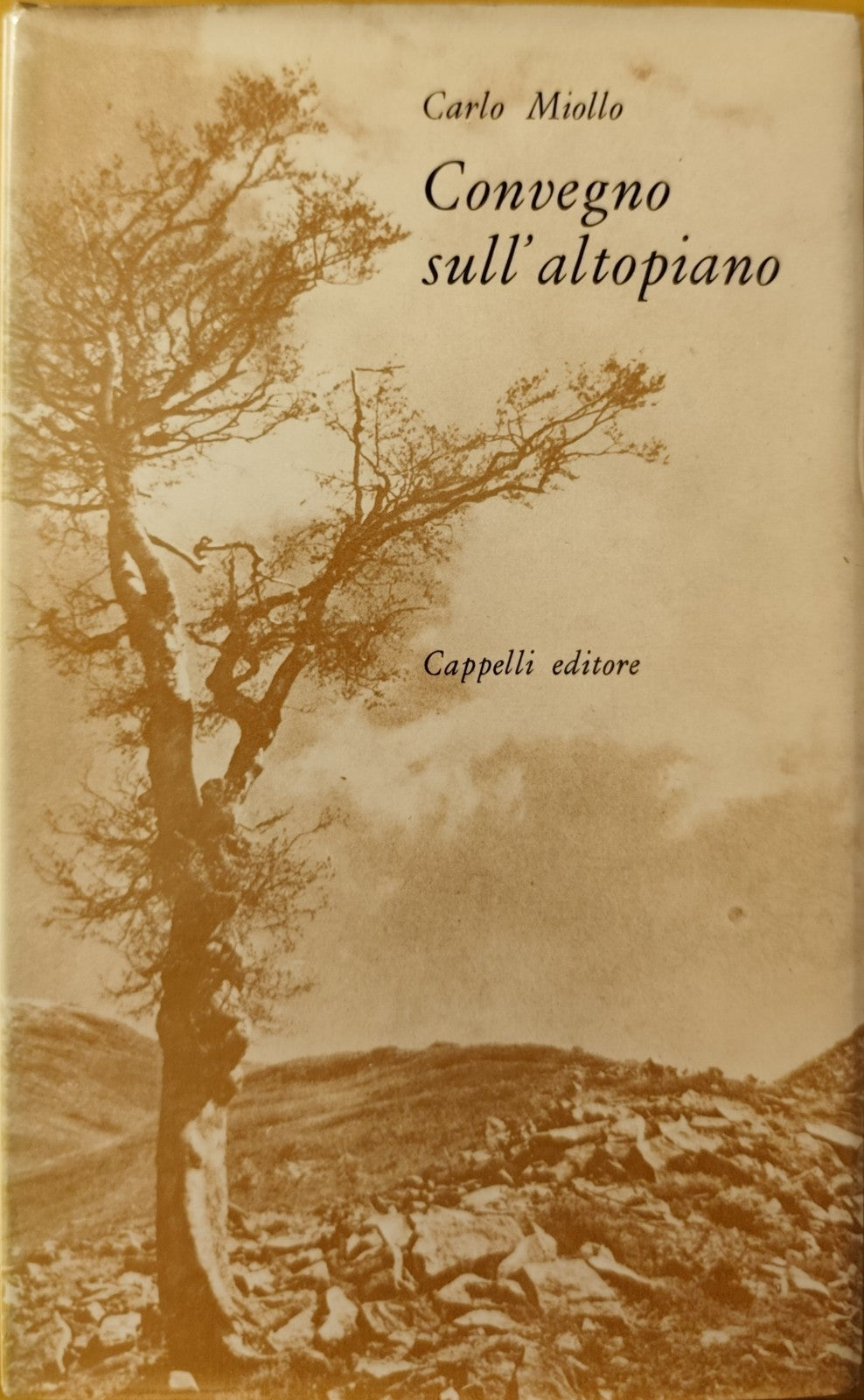 Convegno sull'altopiano, Carlo Miollo, Cappelli editore  1971