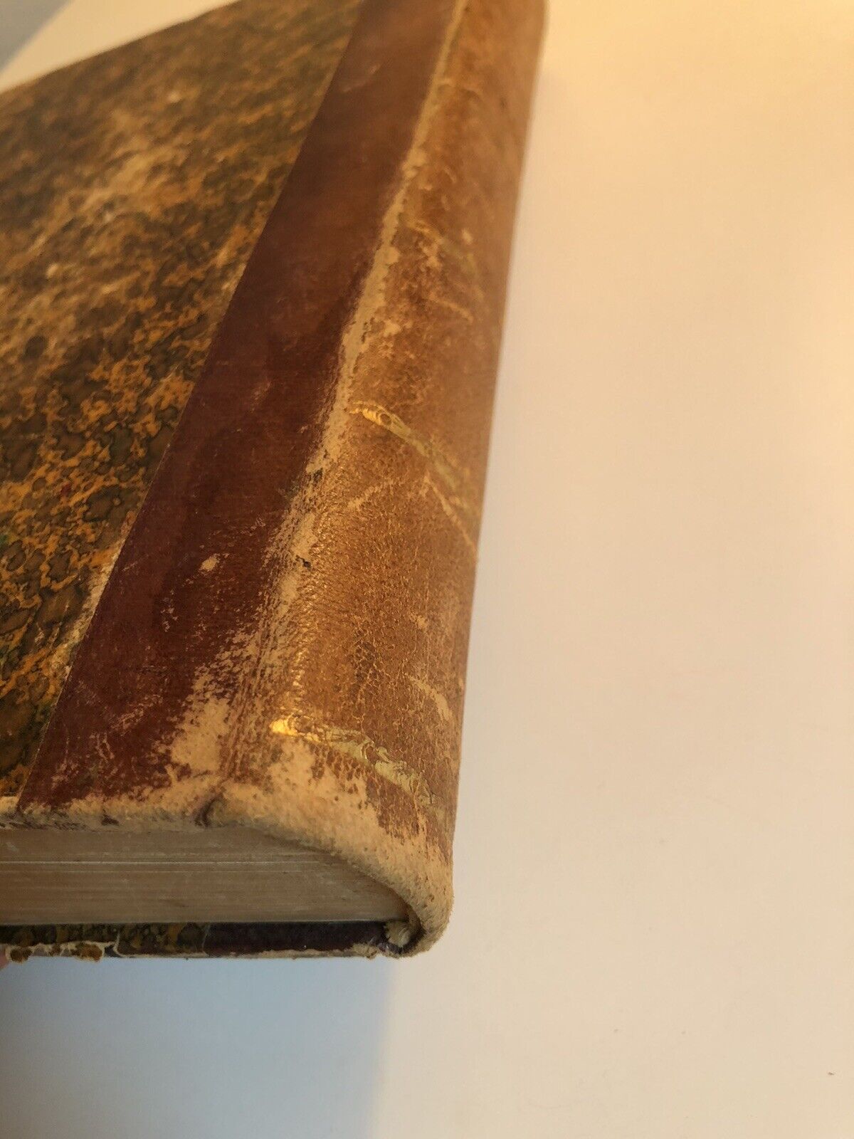 Mes Chasses dans le cinq parties du Monde - Paul Niedieck, Plon-Nourrit ed. 1907