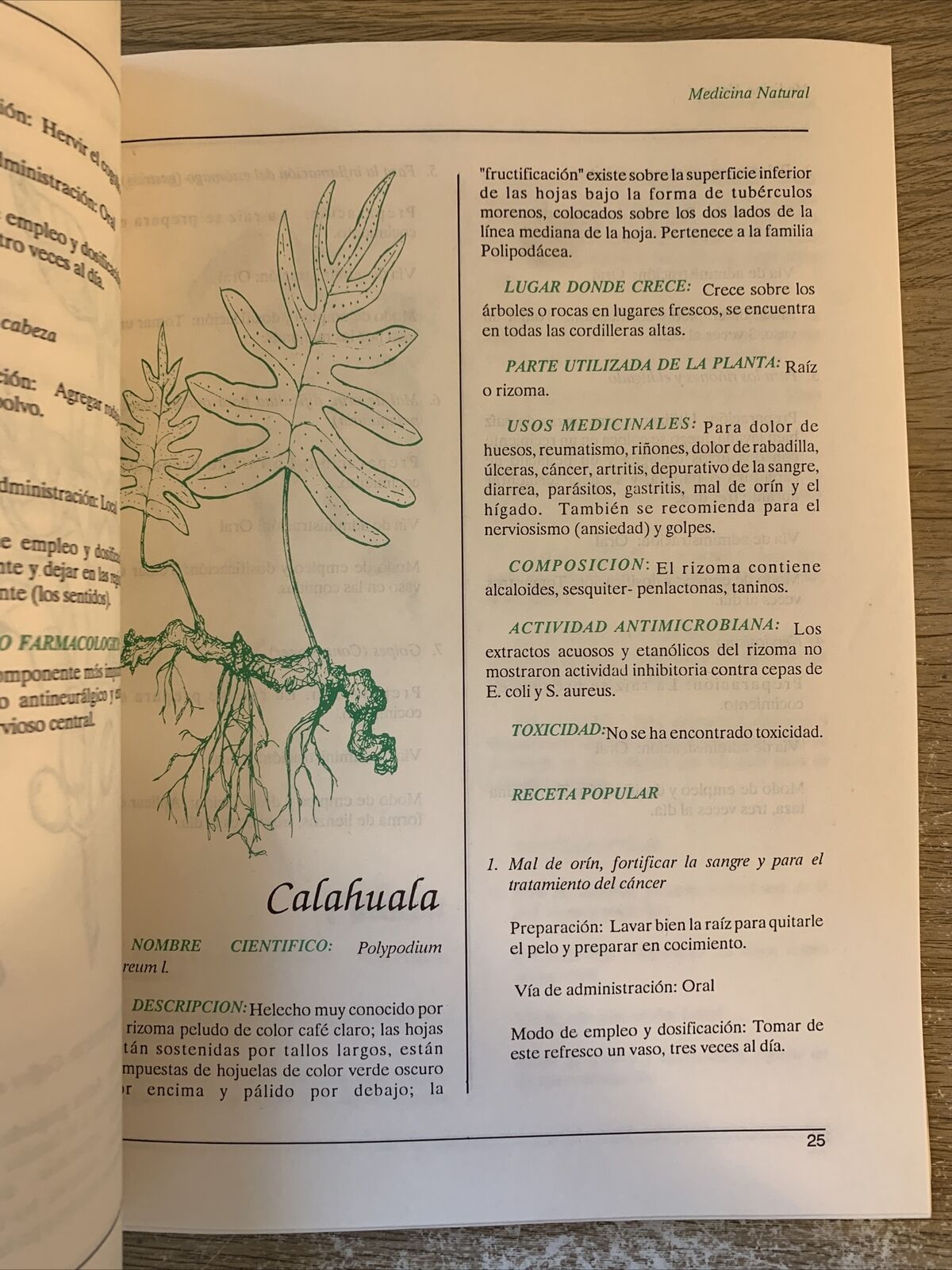 Plantas de uso Medicinal en centro America. Piante medicinali de centro America