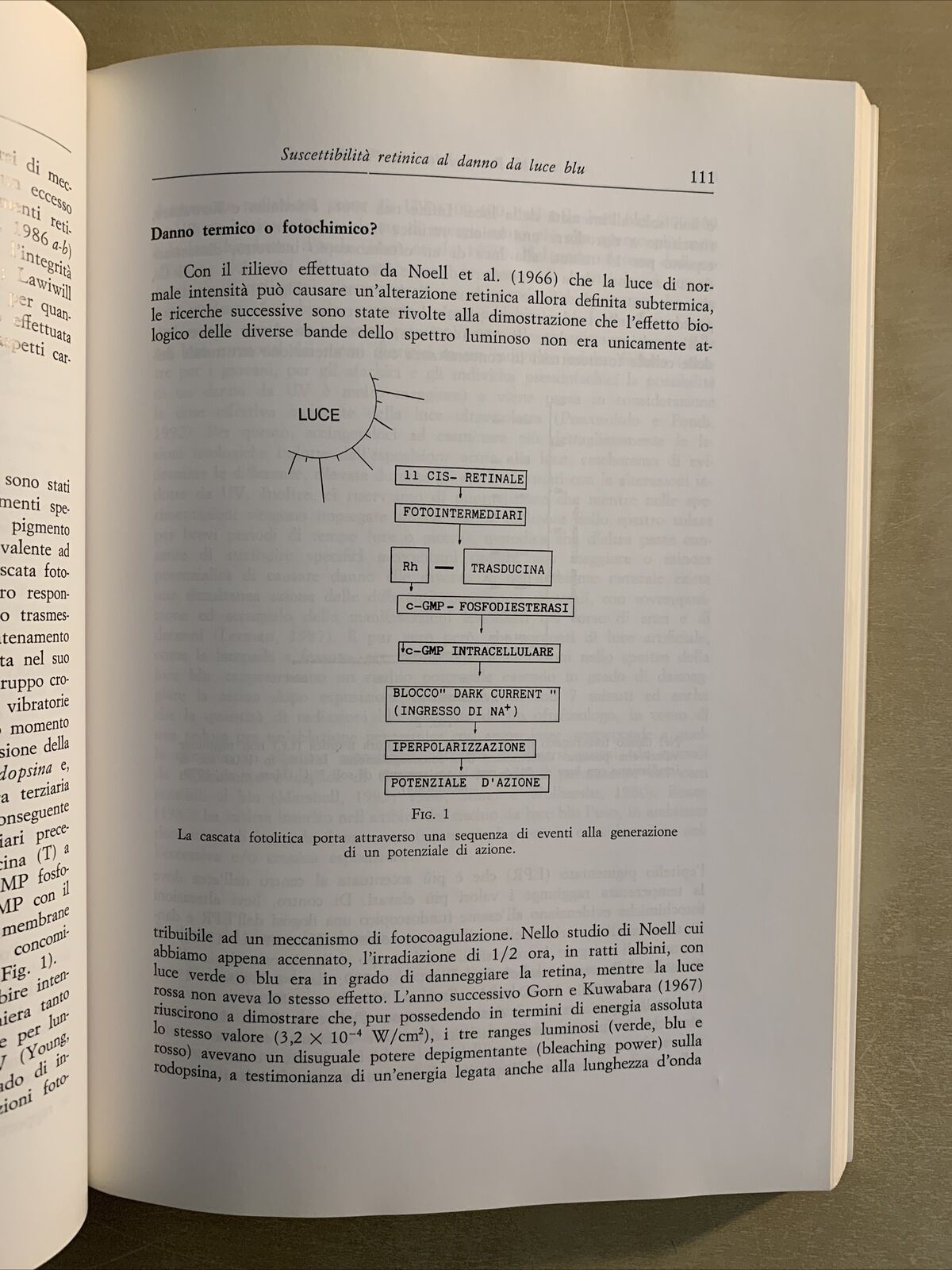 RADIAZIONI NON IONIZZANTI ED OCCHIO - Nicola Pescosolido, Baccini editore 1994 #