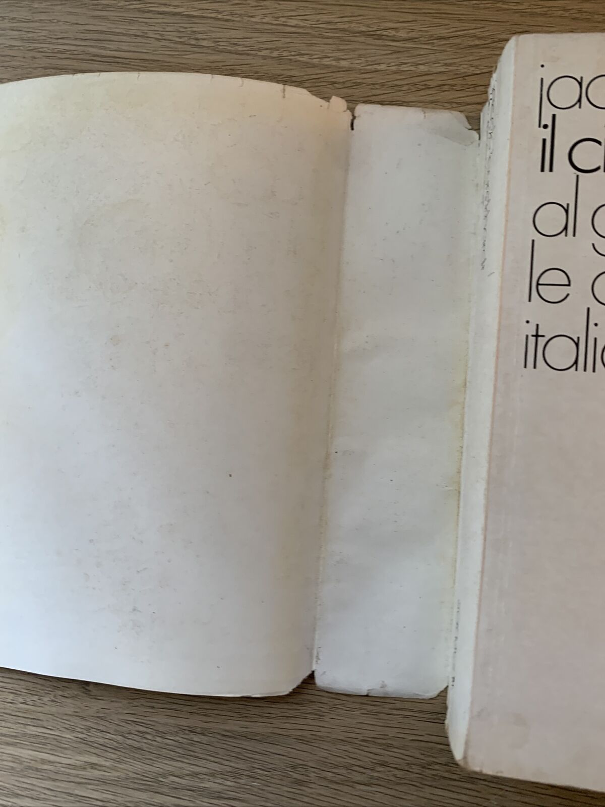 Il cicerone guida al godimento delle opere d'arte in Italia. Jacob Burckhardt #