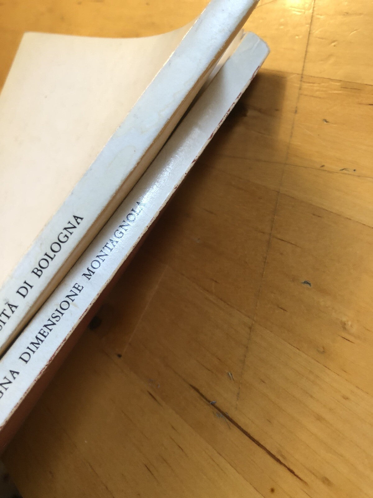 L'antica Università di Bologna, Bologna dimensione Montagnola, Athos Vianelli