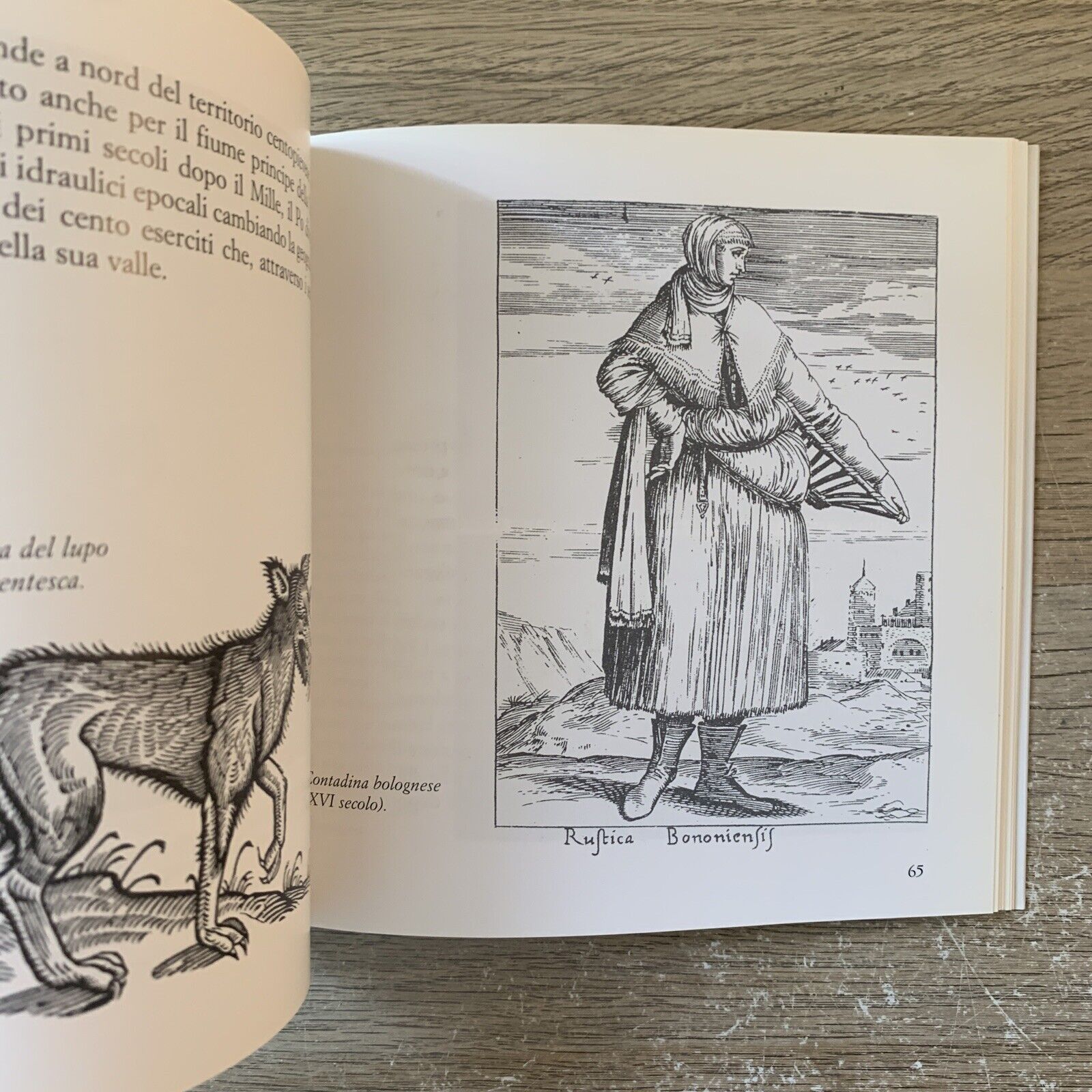 Il Romanzo del Reno - Maurizio Garuti. Pendragon 2004