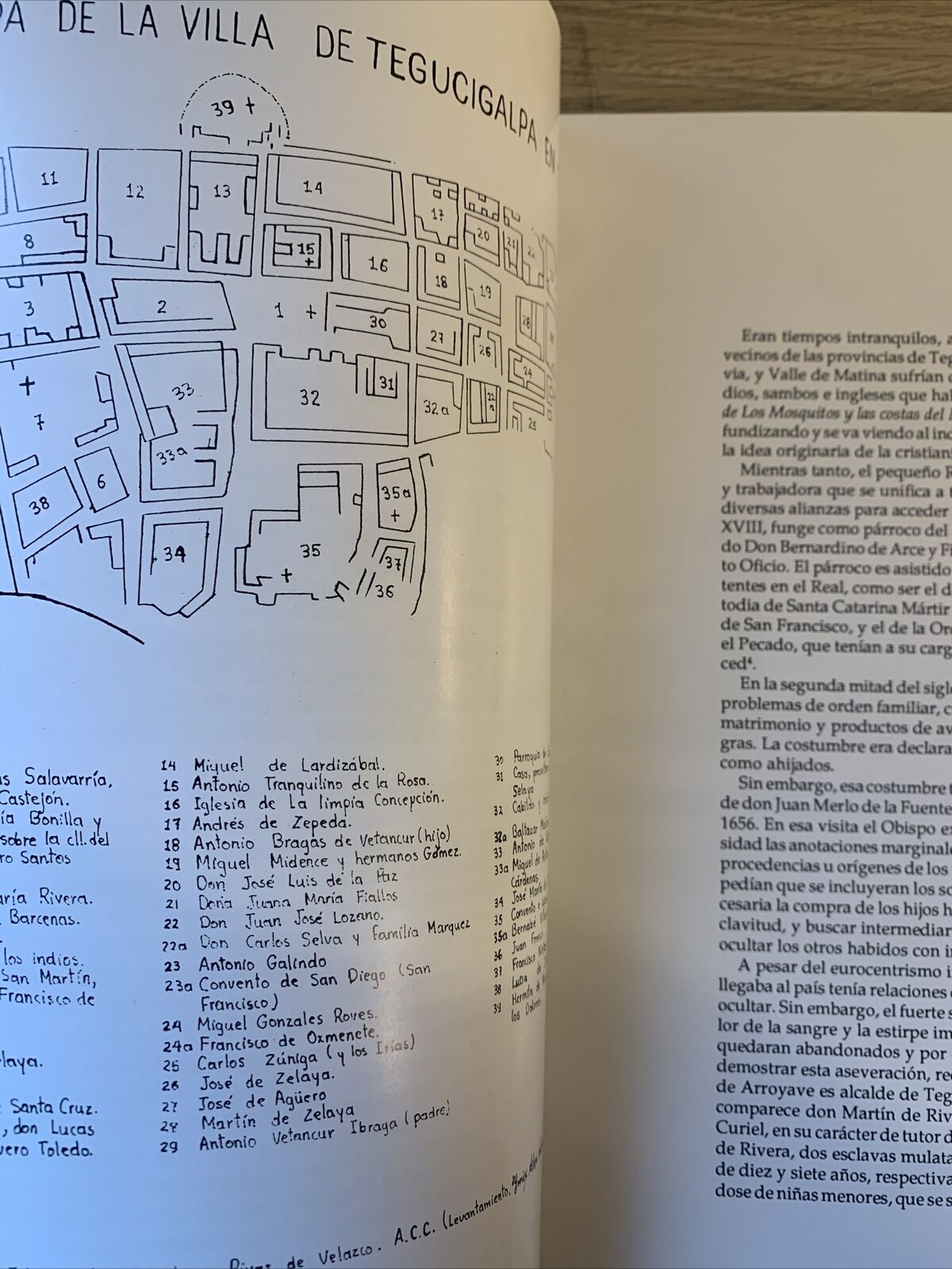 JOSE MIGUEL GOMES PINTOR CRIOLLO - LETICIA DE OYUELA 1992