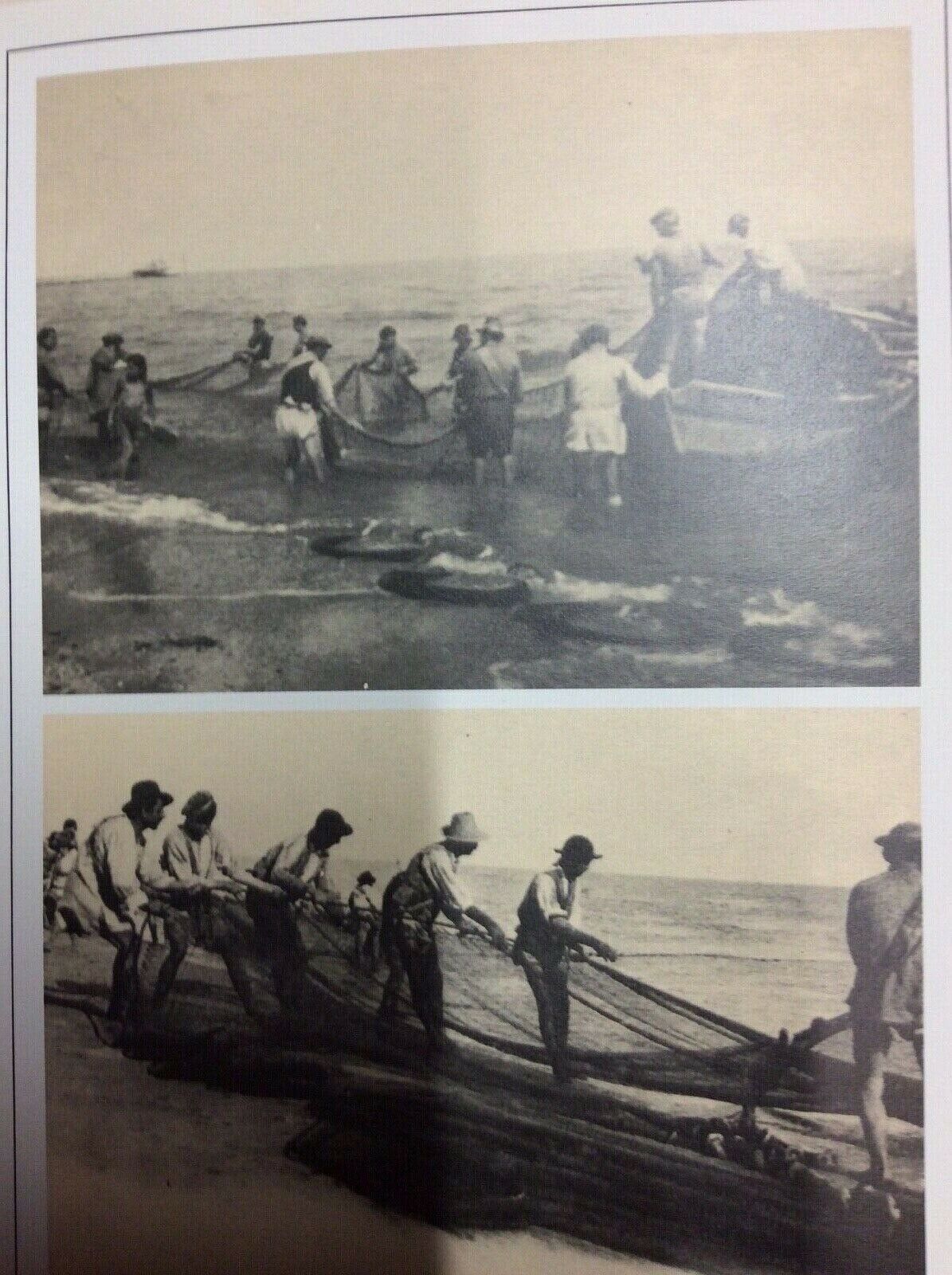 I SERPIERI DI RIMINI - MEMORIA, PIERO  SERPIERI 1982