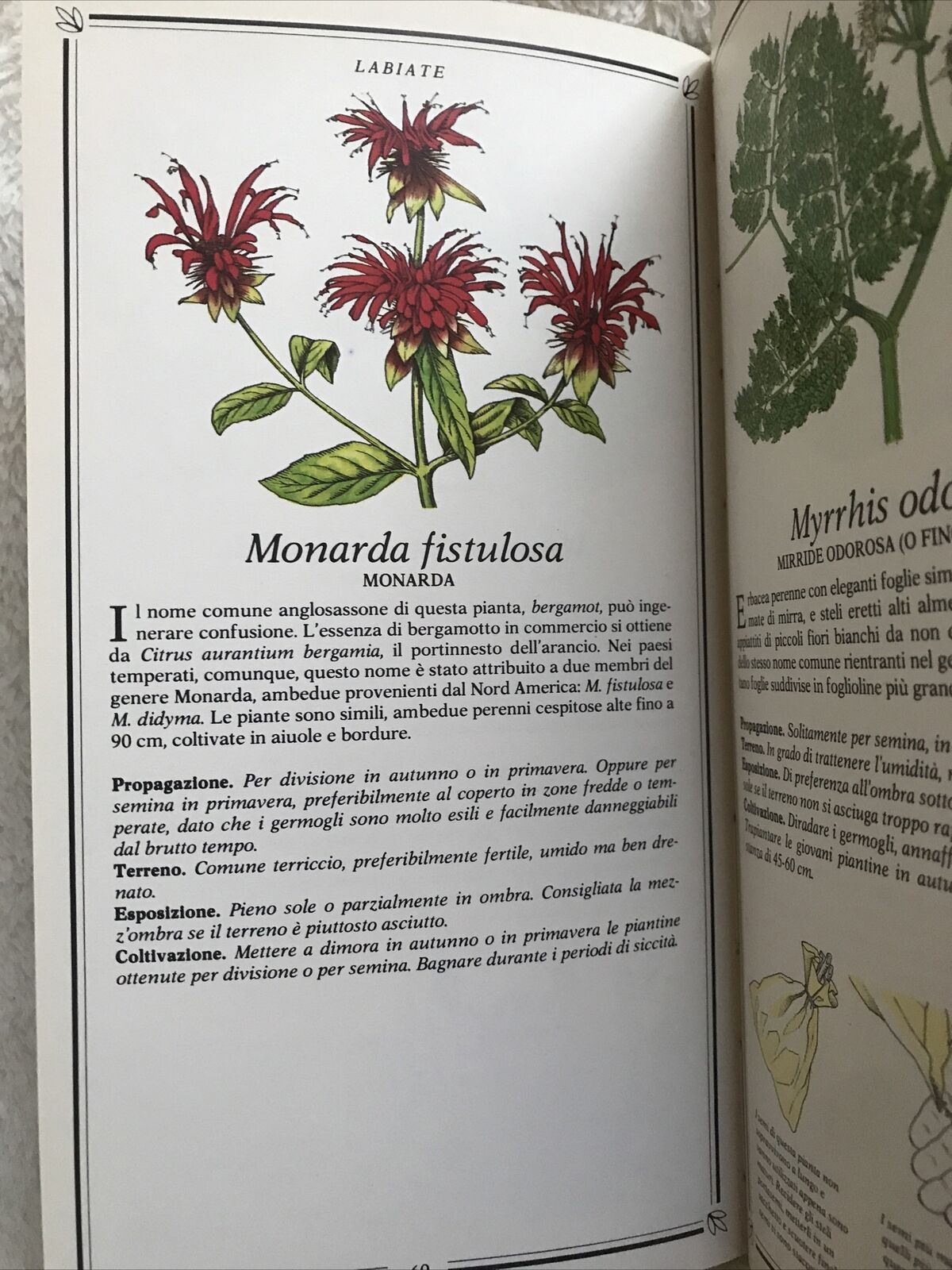 ERBE, Kenneth A. Beckett, Sperling & Kupfer Editori