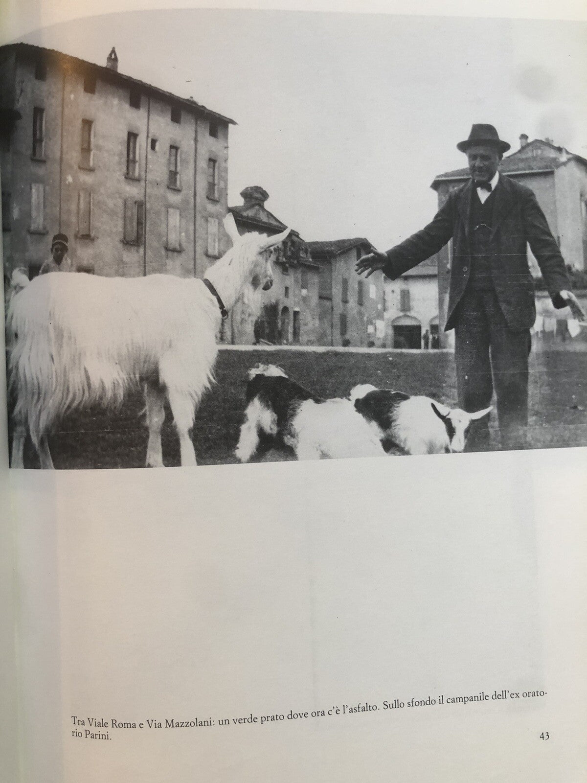 Castel Bolognese nelle immagini del passato, Ubaldo Galli - Galeati 1983