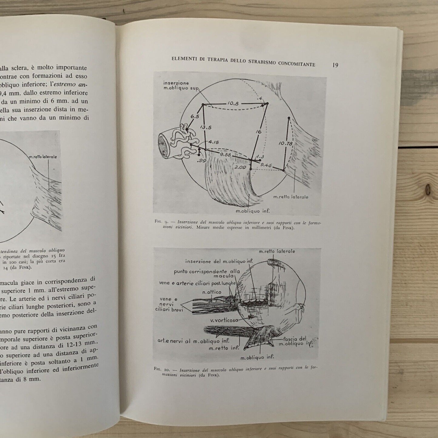 ELEMENTI DI TERAPIA DELLO STRABISMO CONCOMITANTE - ANICETO GIARDINI #