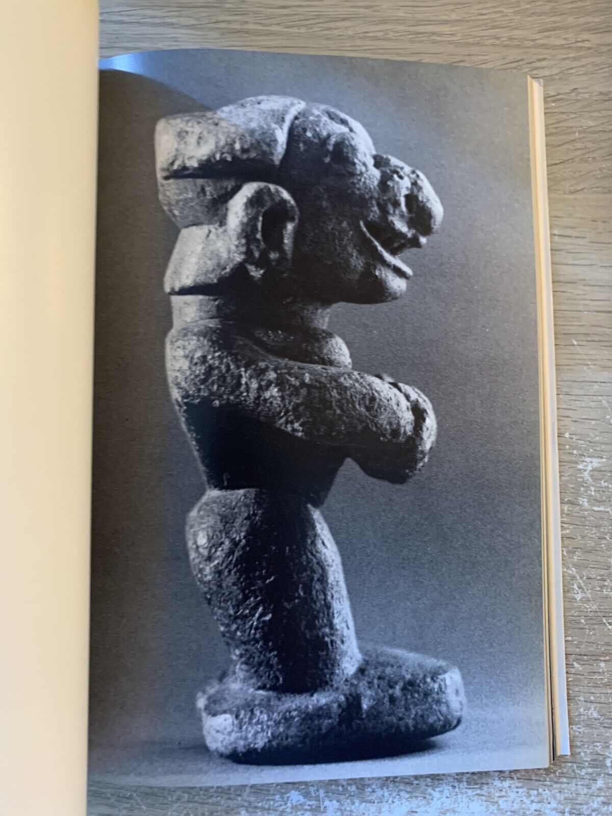 Fabulous ancestors, stone carvings from Sierra Leone & Guinea, edizioni Polifilo