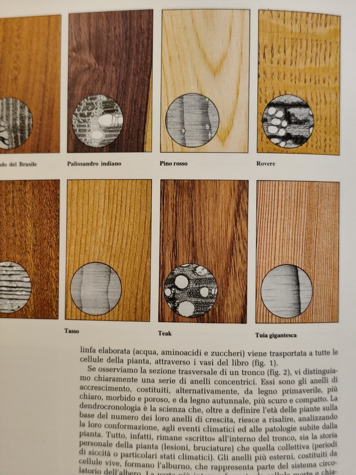 Il mobile d'antiquariato, antiche tecniche decorative moderni metodi di restauro