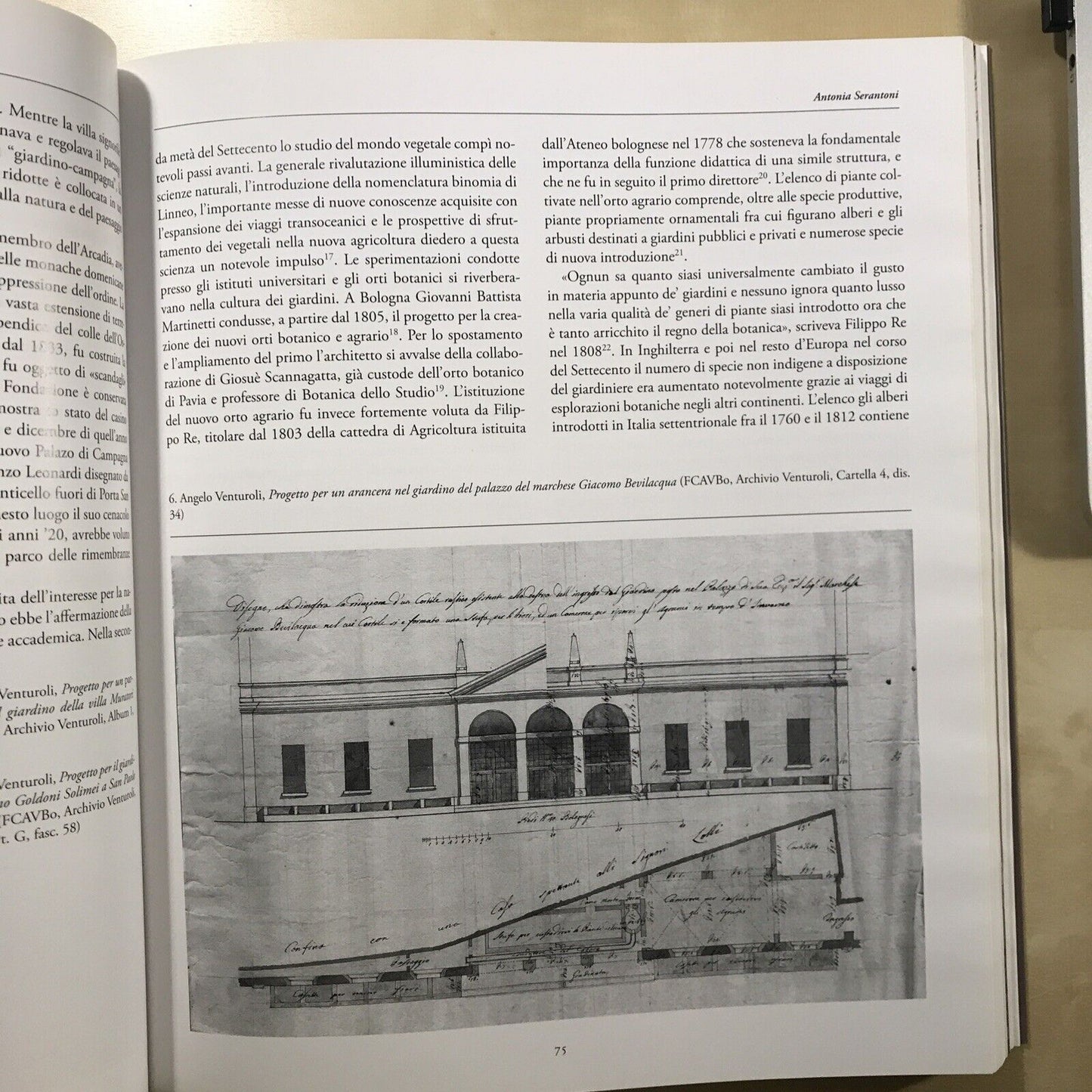 NEL SEGNO DI PALLADIO, Angelo Venturoli e l'architettura bolognese tra sette 800