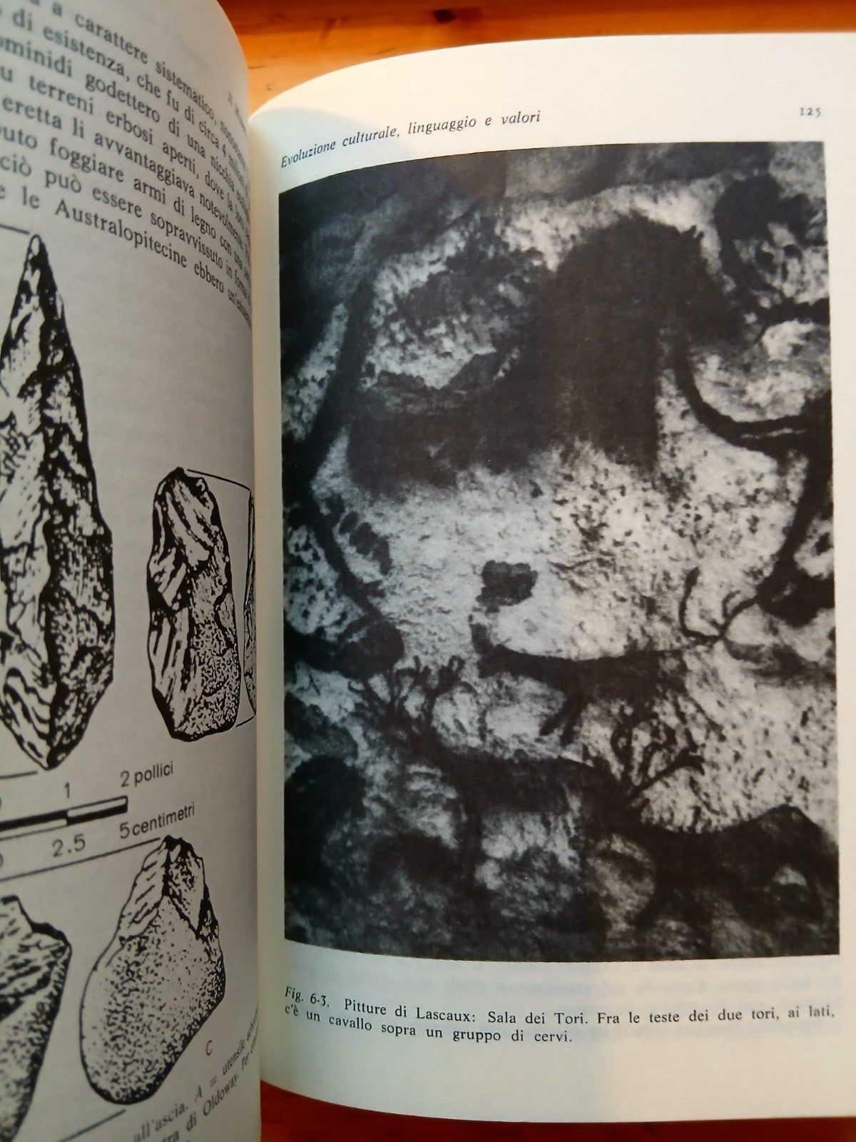 Il mistero uomo di John C. Eccles - Il Saggiatore 1983