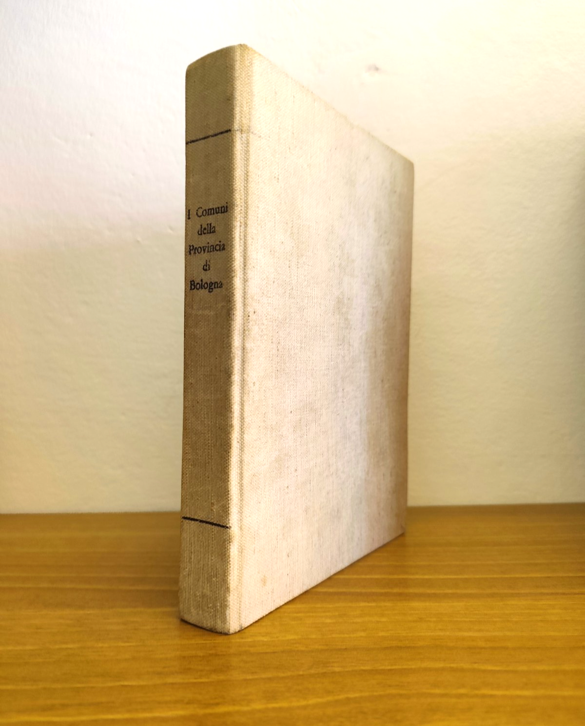 I comuni della provincia di Bologna, Luigi Bortolotti - Tip. S. Francesco 1964