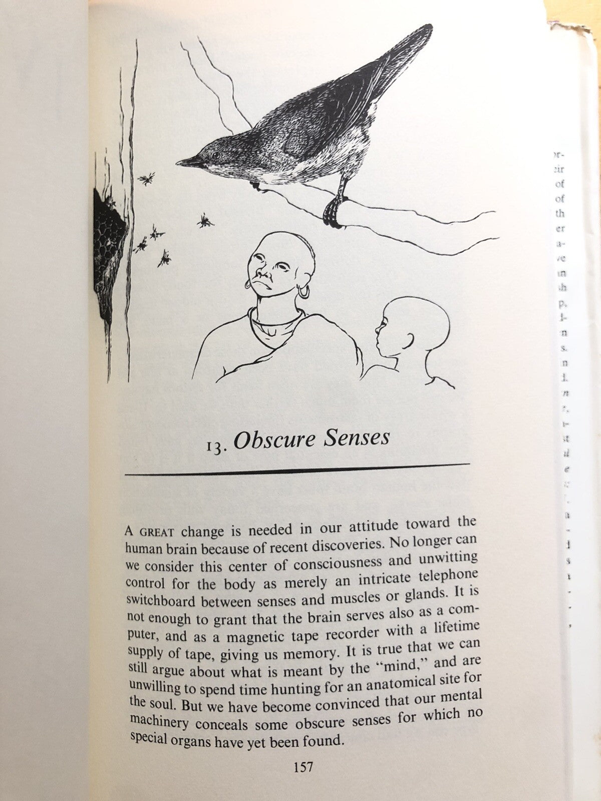 The Senses of Animals and Men - Lorus J. Margery Milne. Atheneum 1962