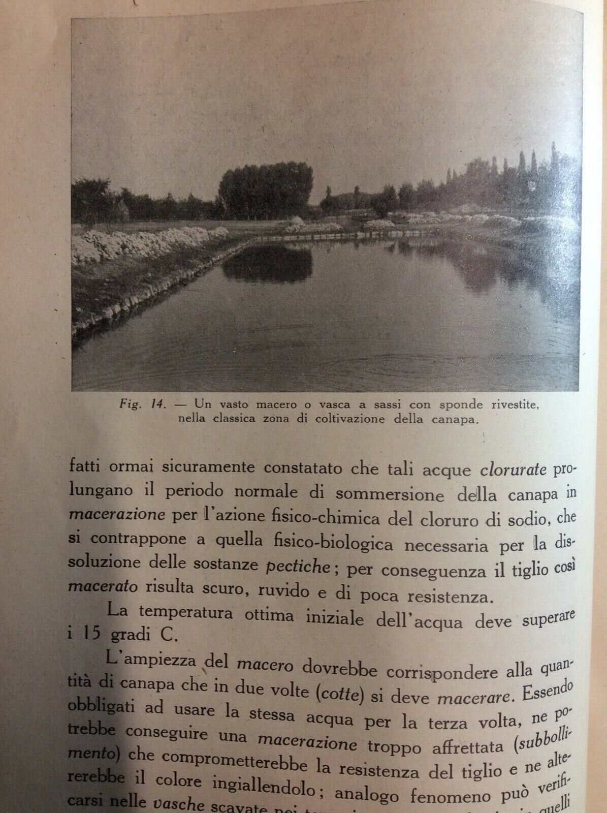 LA LAVORAZIONE RUSTICA DELLA CANAPA DAL TAGLIO ALLA STADERA - G. RAGAZZI 1950