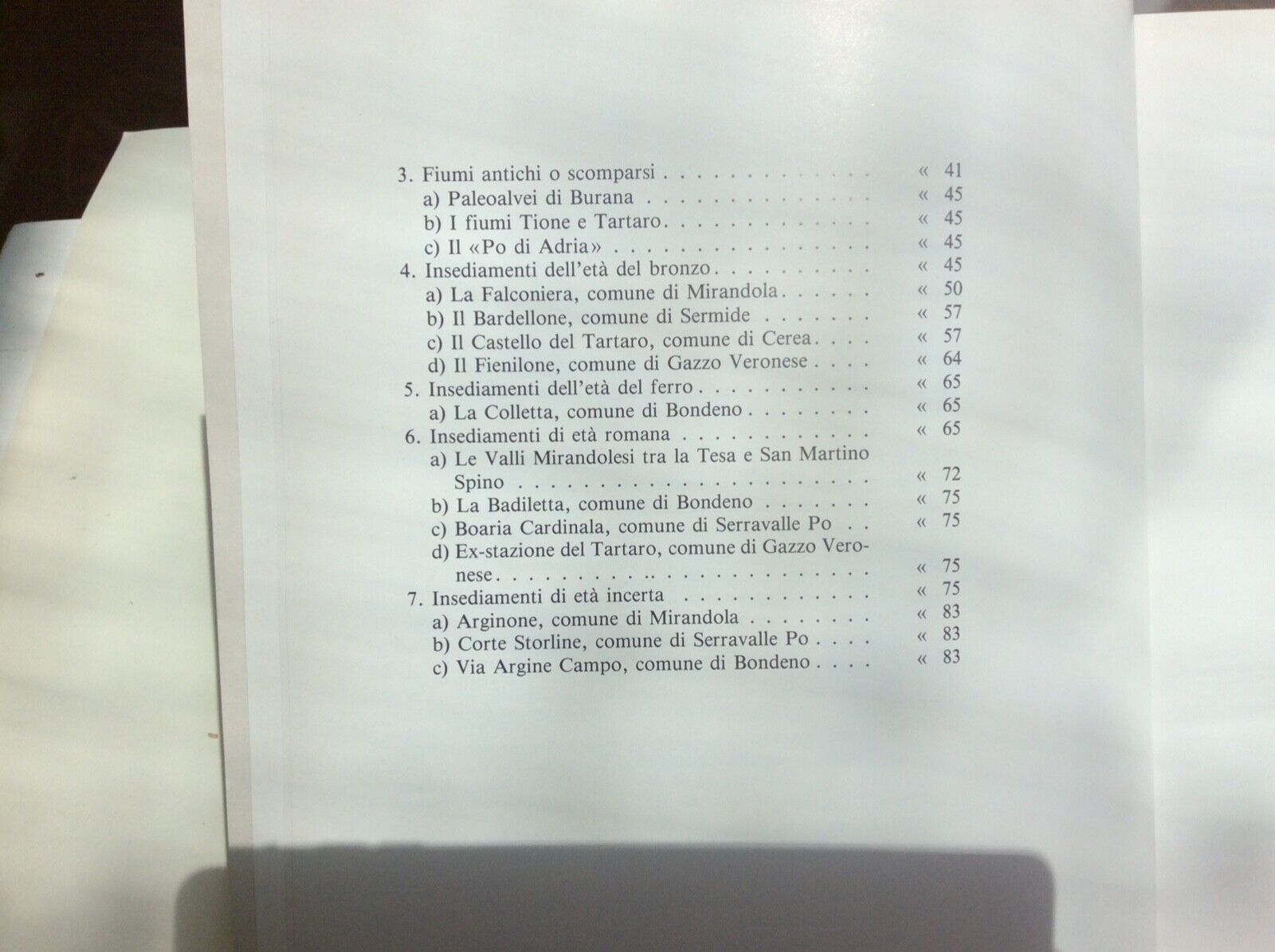 RENZO FERRI, M. CALZOLARI, RICERCHE ARCHEOLOGICHE E PALEOAMBIENTALI-FOTO AEREE