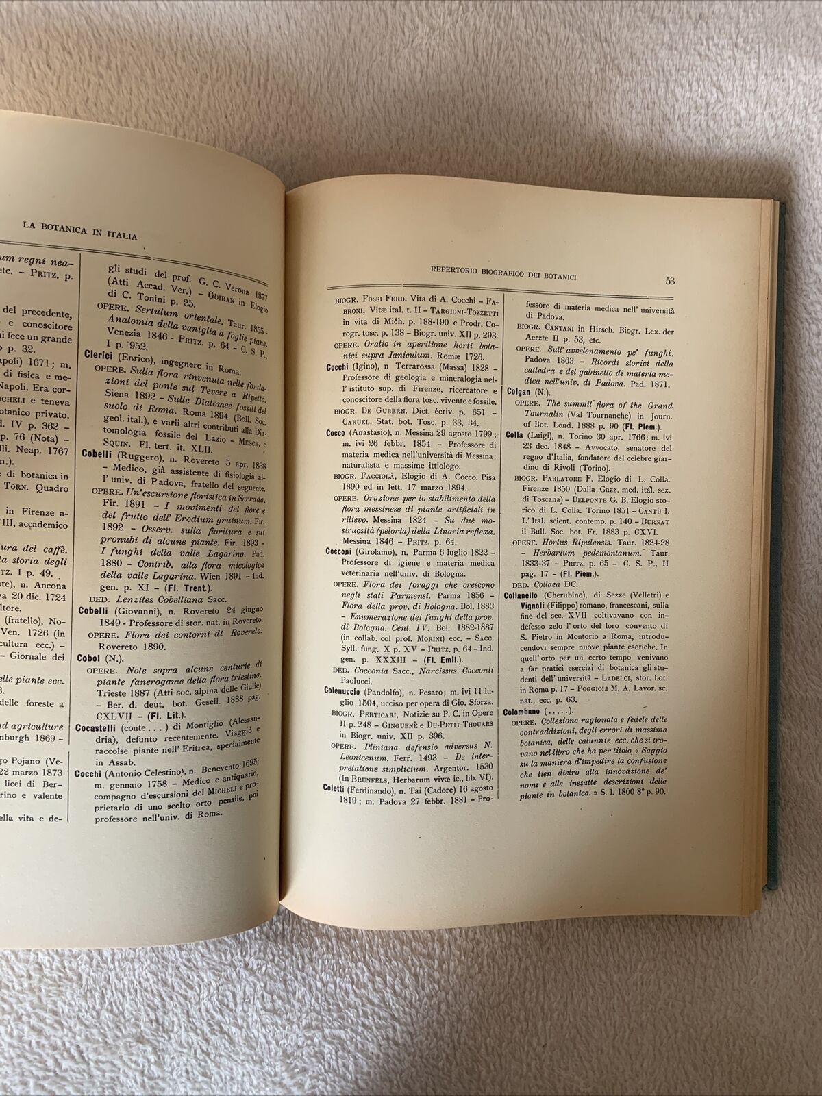 LA BOTANICA IN ITALIA - Pier Andrea Saccardo. Forni Editore, Ristampa del 1971