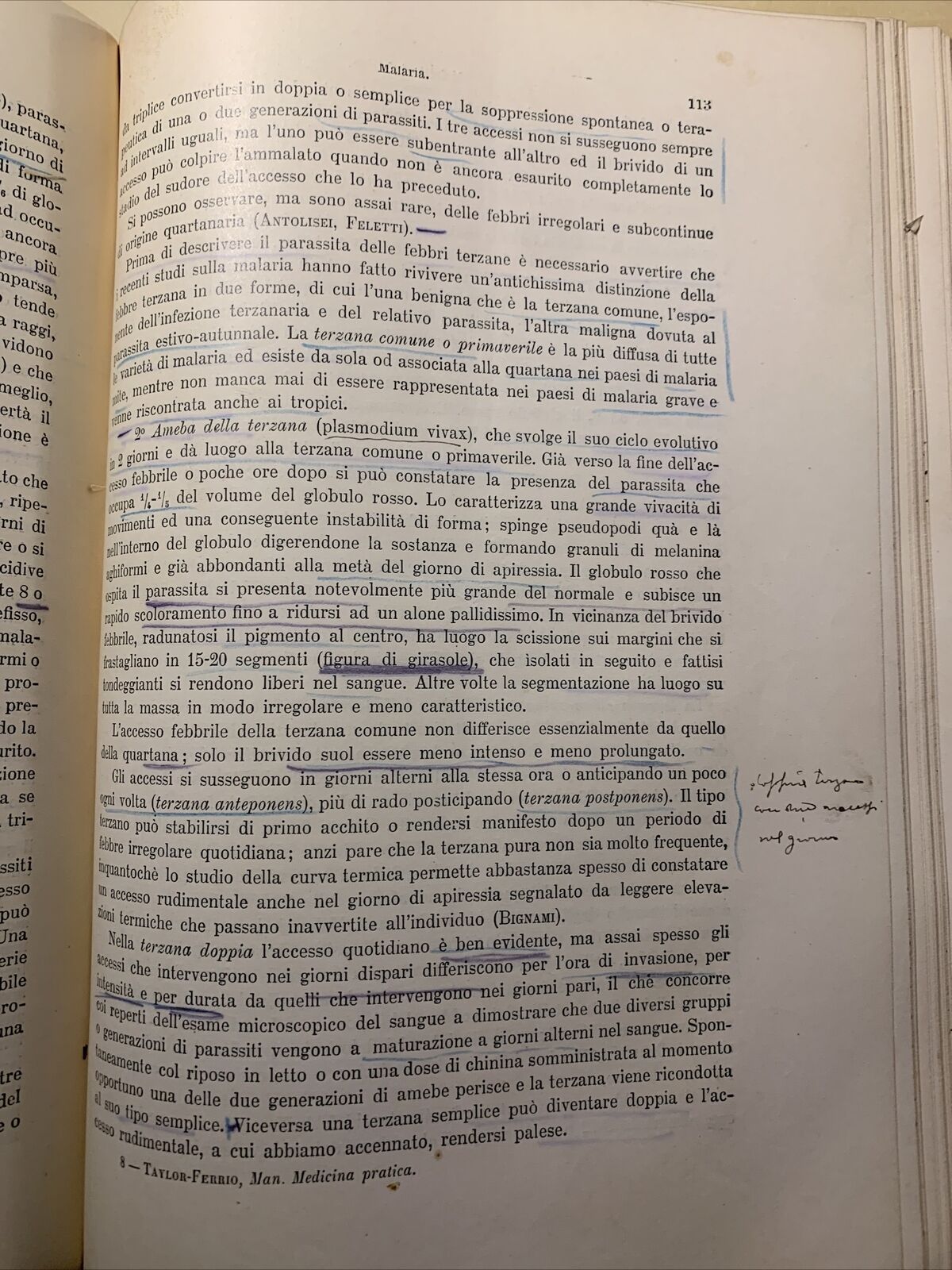 MANUALE PRATICO MEDICINA INTERNA - FEDERICO TAYLOR. UTET 1911. 2 VOLUMI #