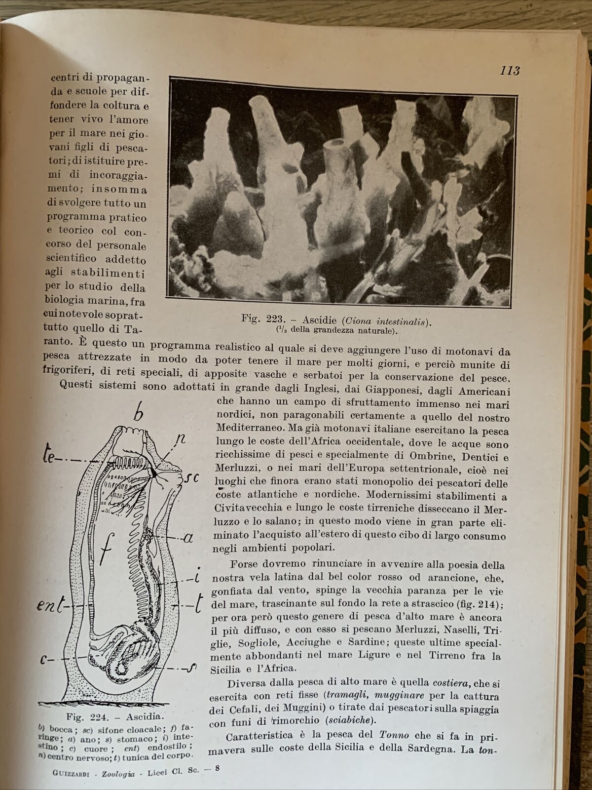 Chimica Mineralogia e Litologia. Vittorio Guizzardi. Cappelli 1942