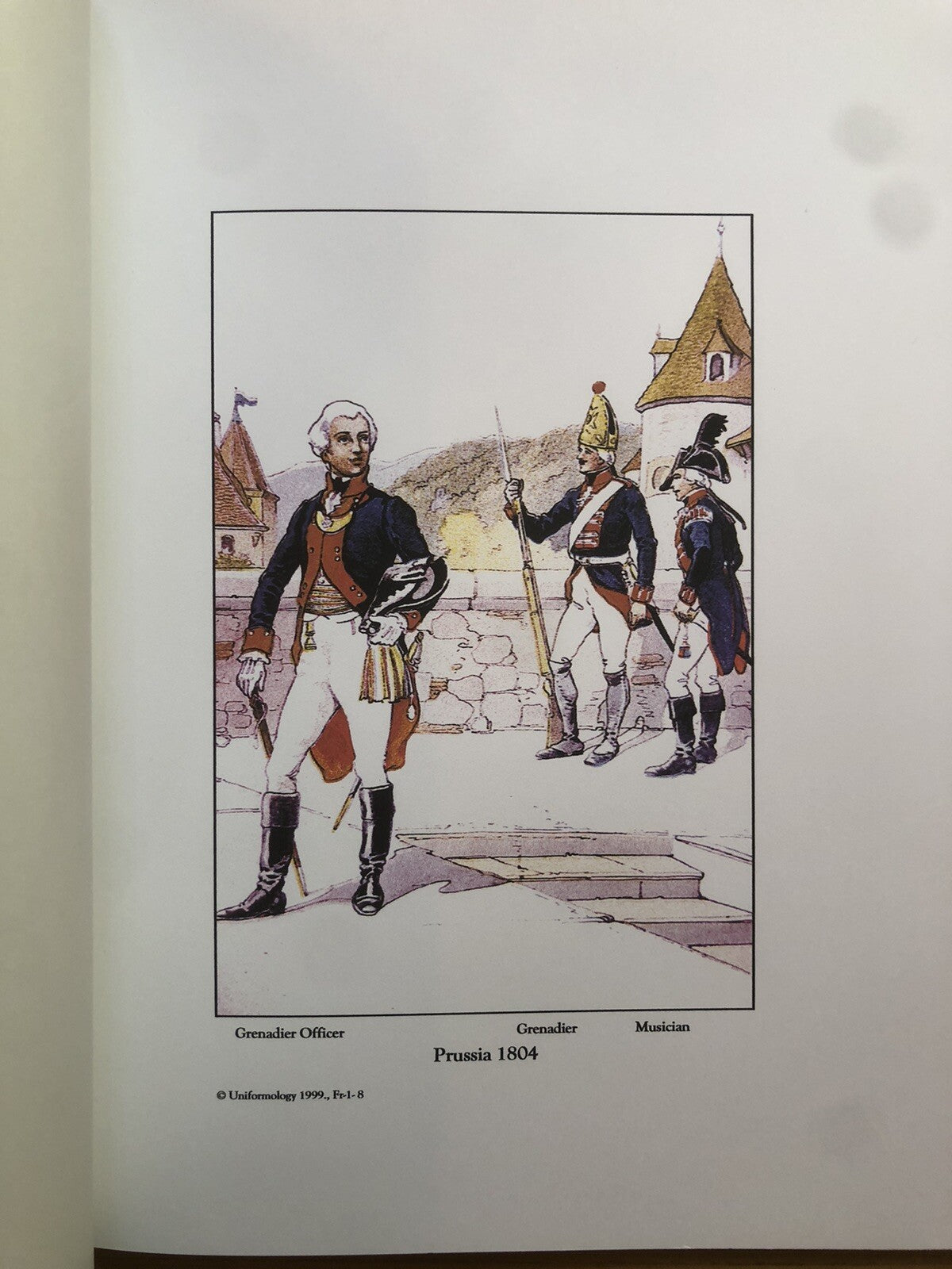 French army of the first empire, Taconville's 23 full color plates
